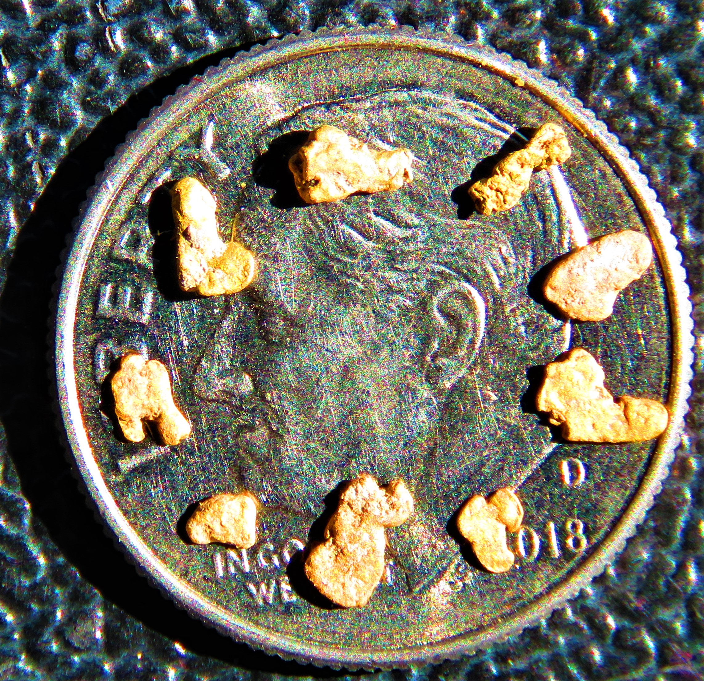 Member content 68 of 206