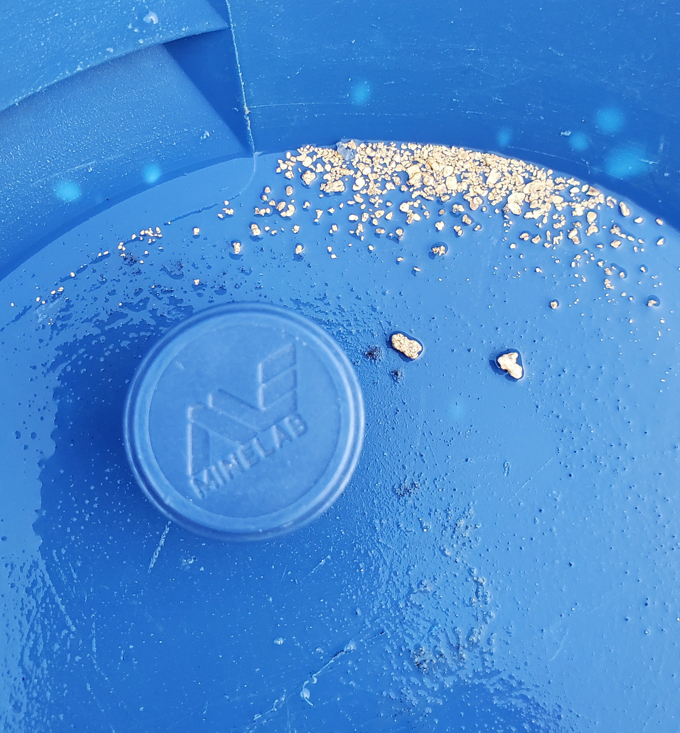 Member content 146 of 206