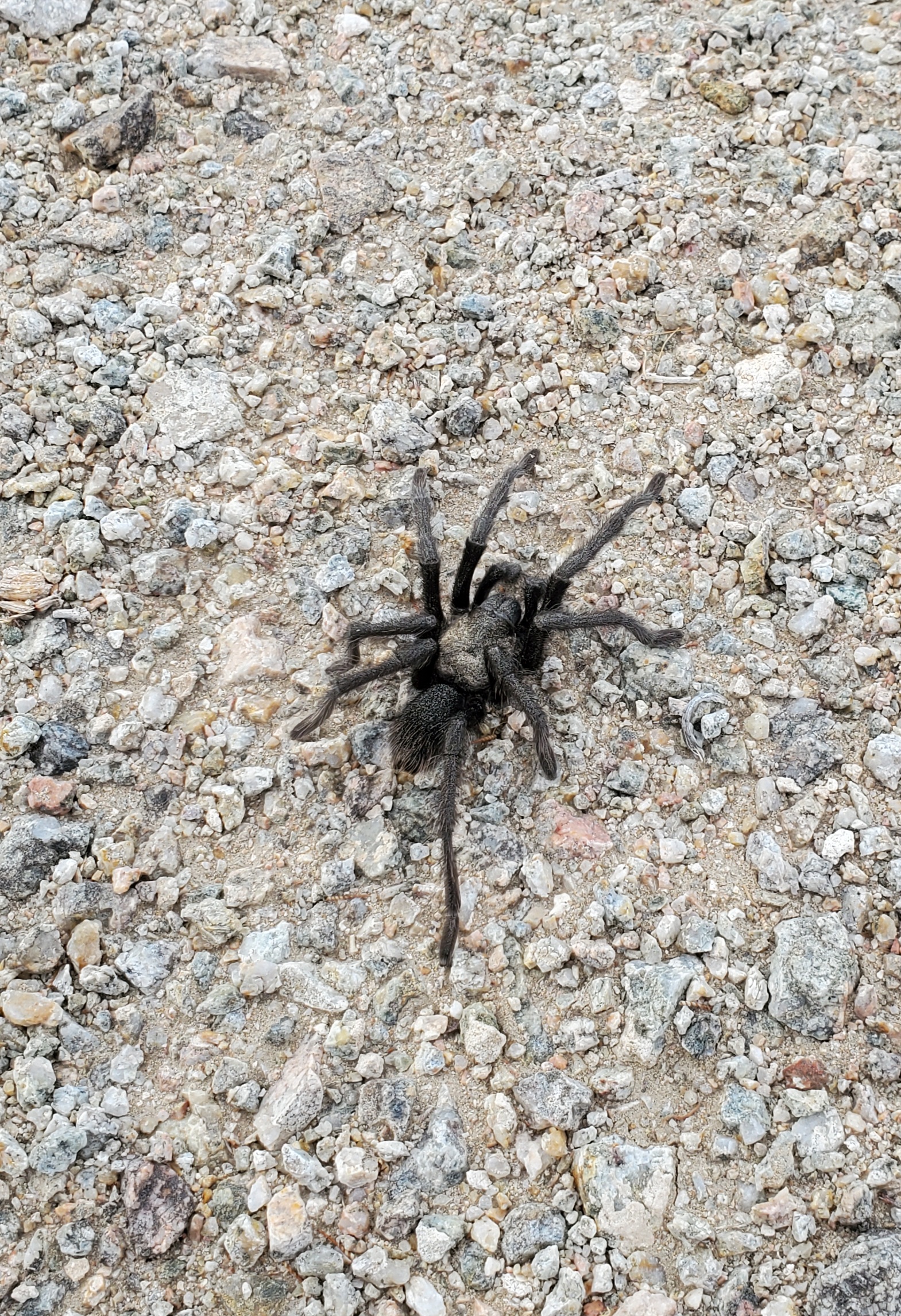 Member content 147 of 206