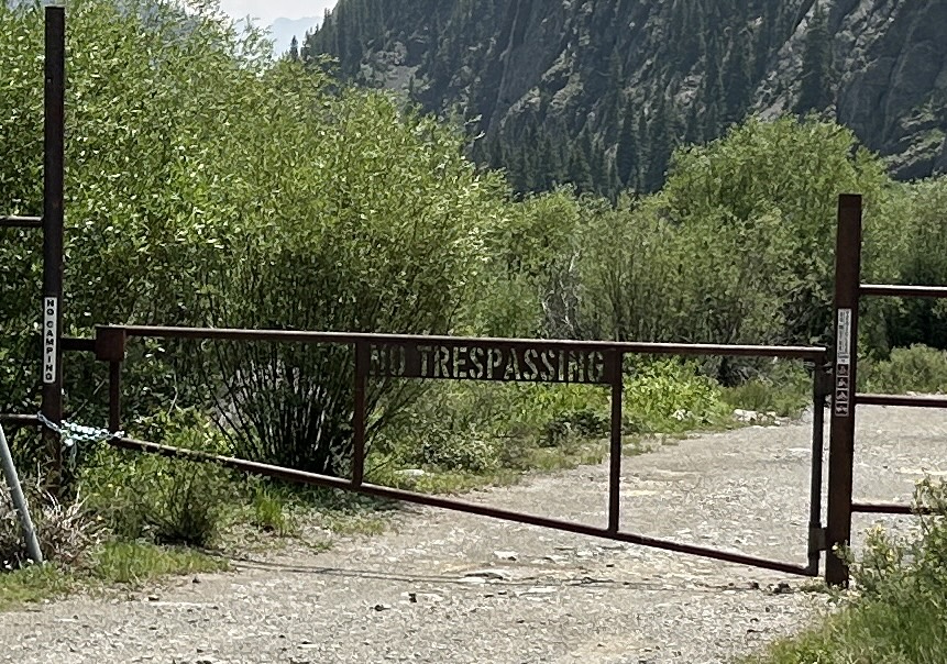 Member content 5 of 5