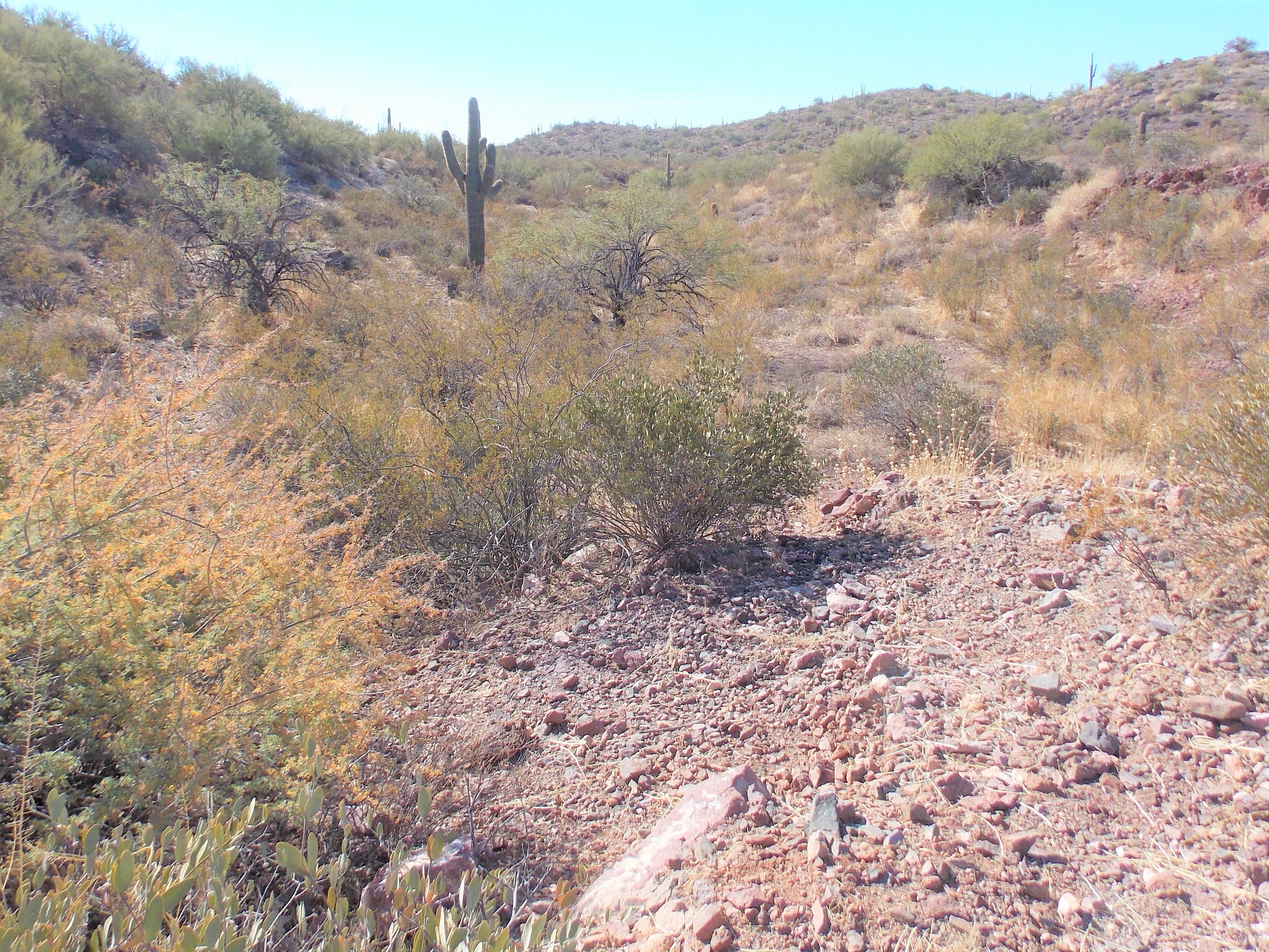 Member content 5 of 41