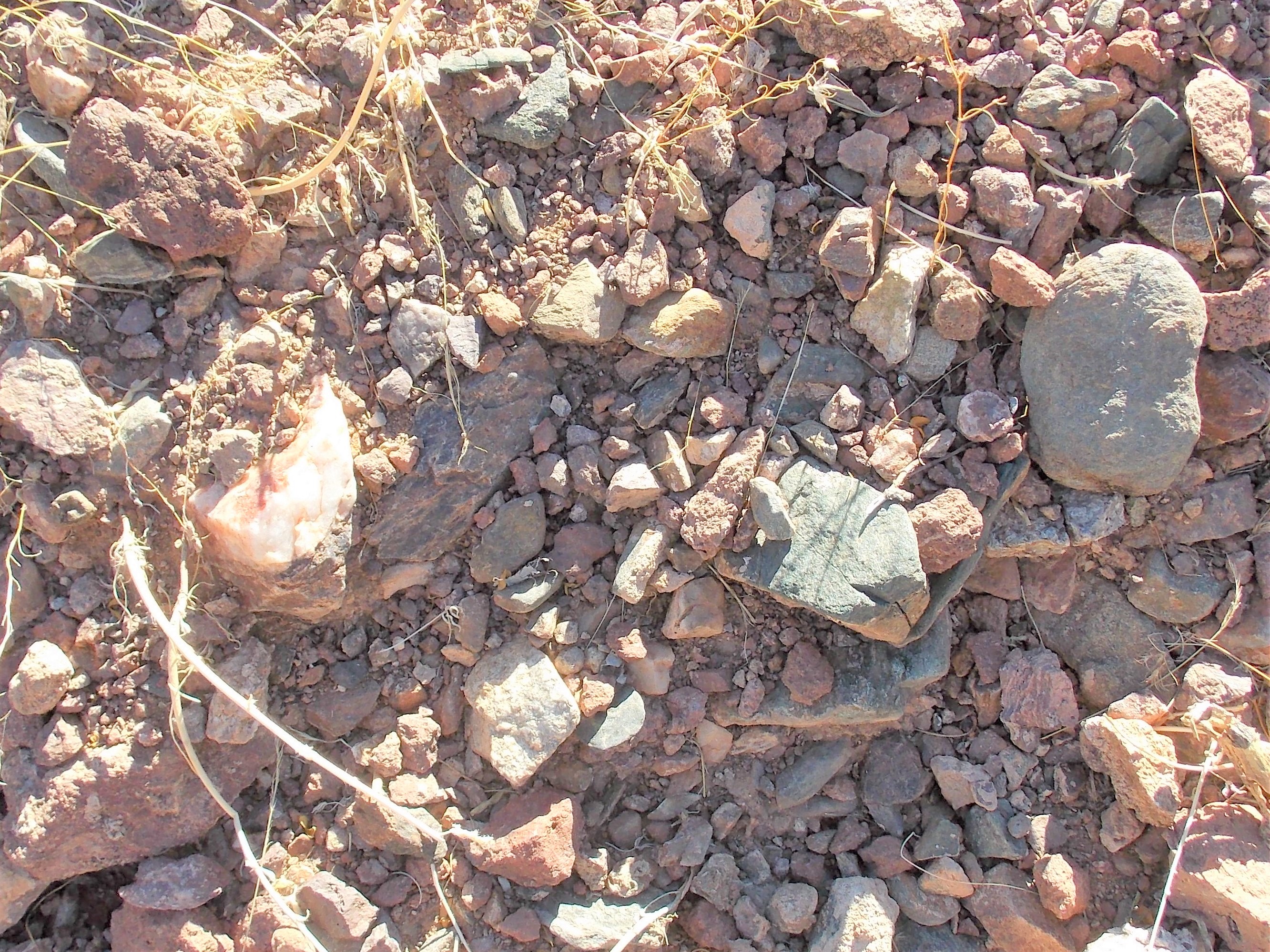 Member content 6 of 41