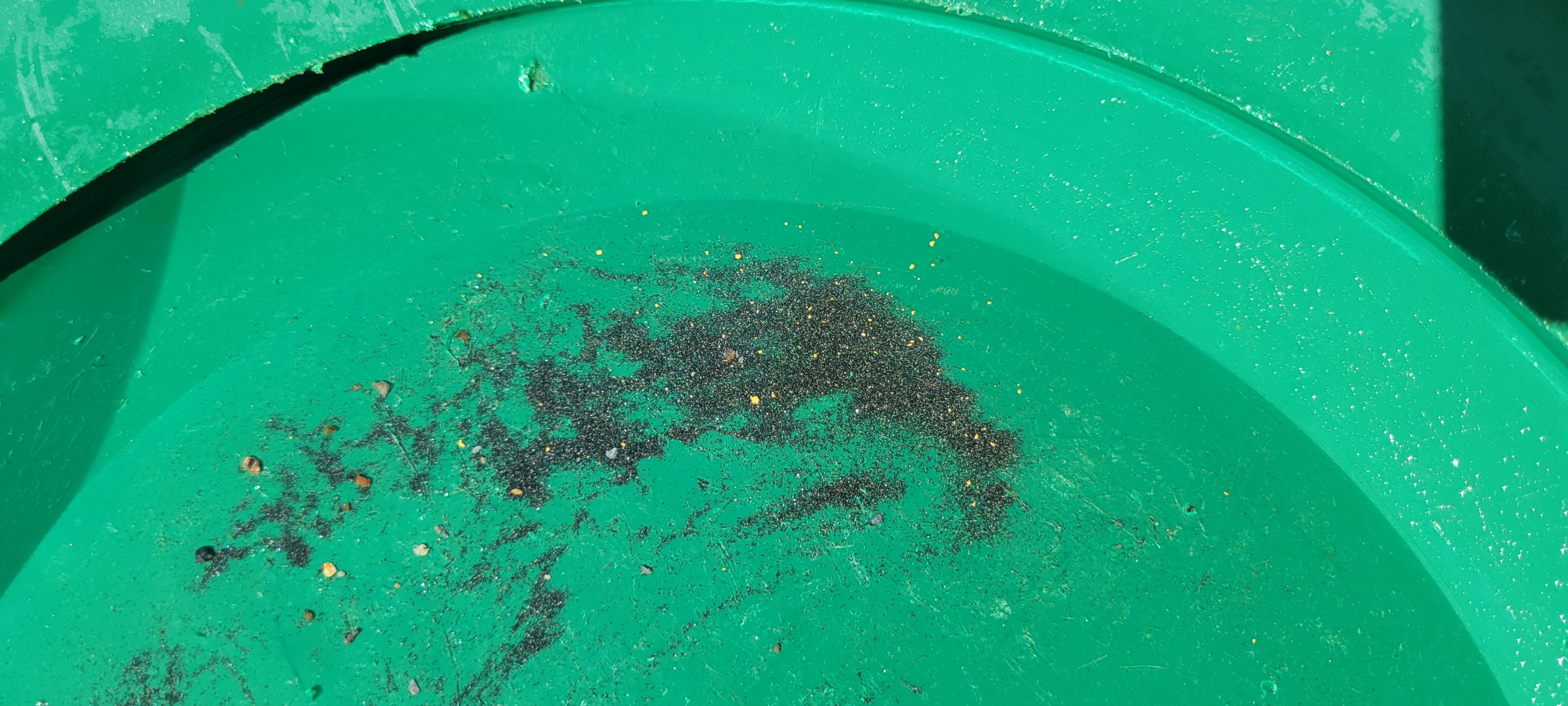 Member content 12 of 15