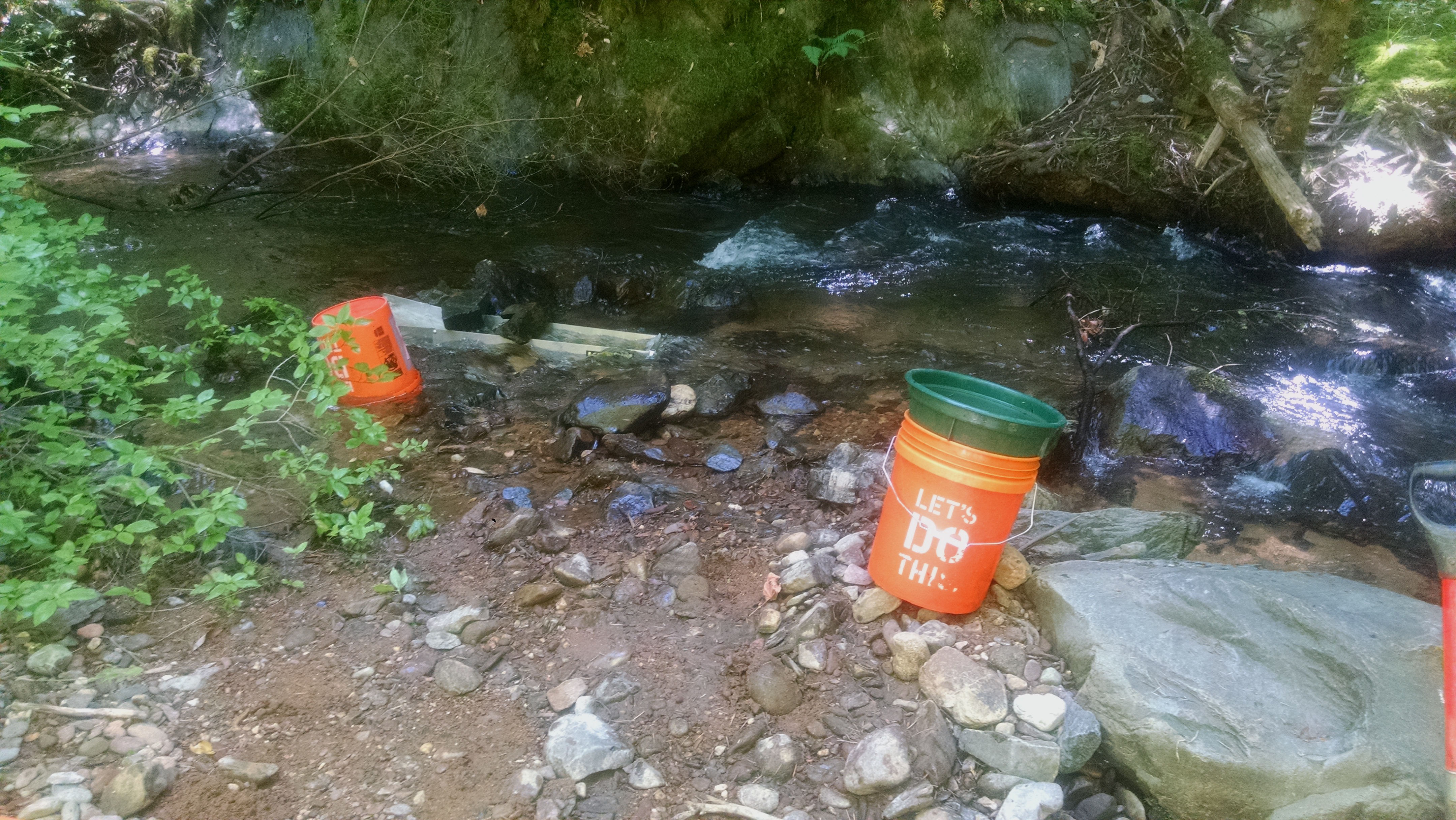 Member content 1 of 11