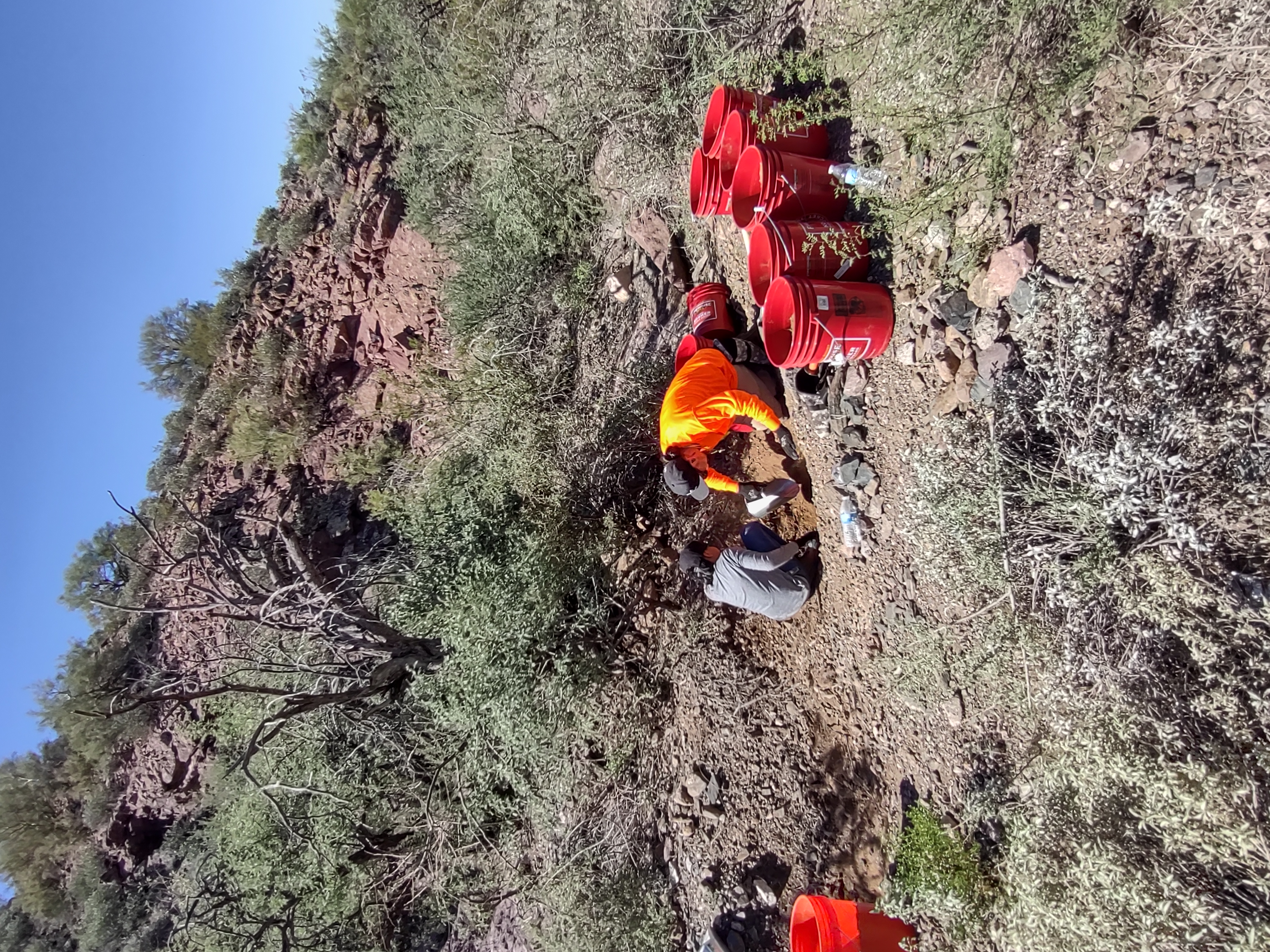 Member content 25 of 41