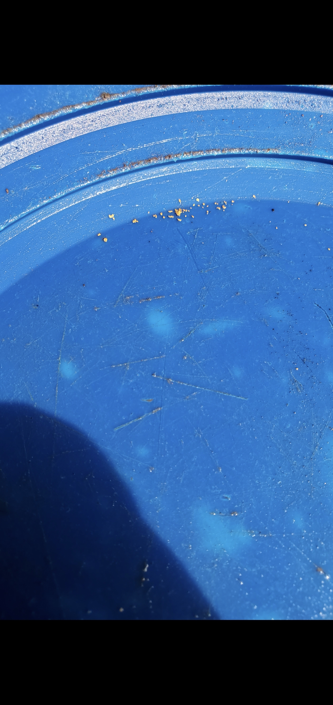 Member content 1 of 7