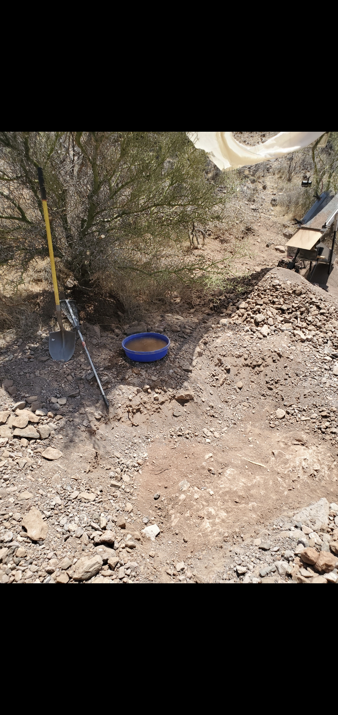 Member content 3 of 7