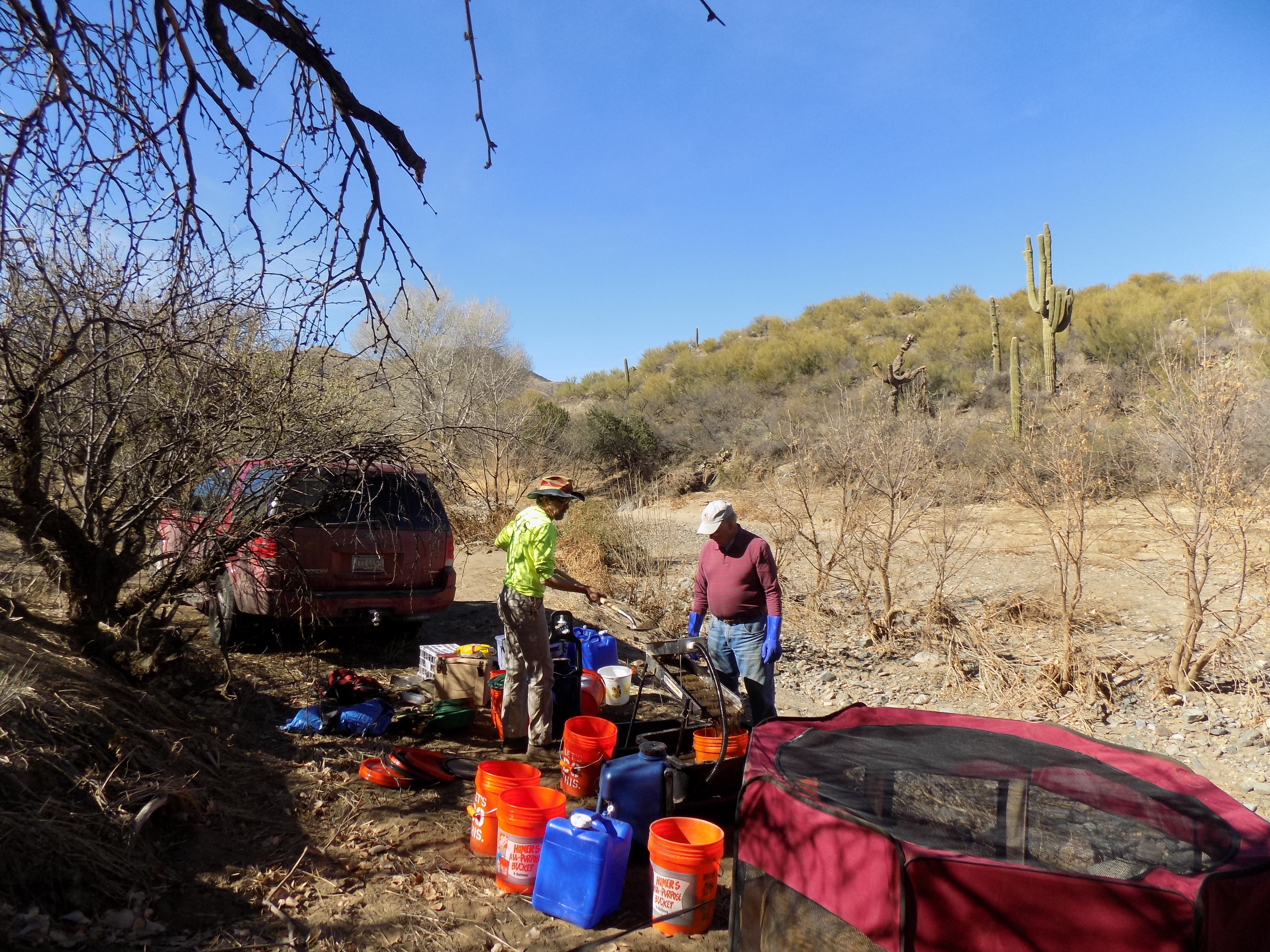 Member content 1 of 13