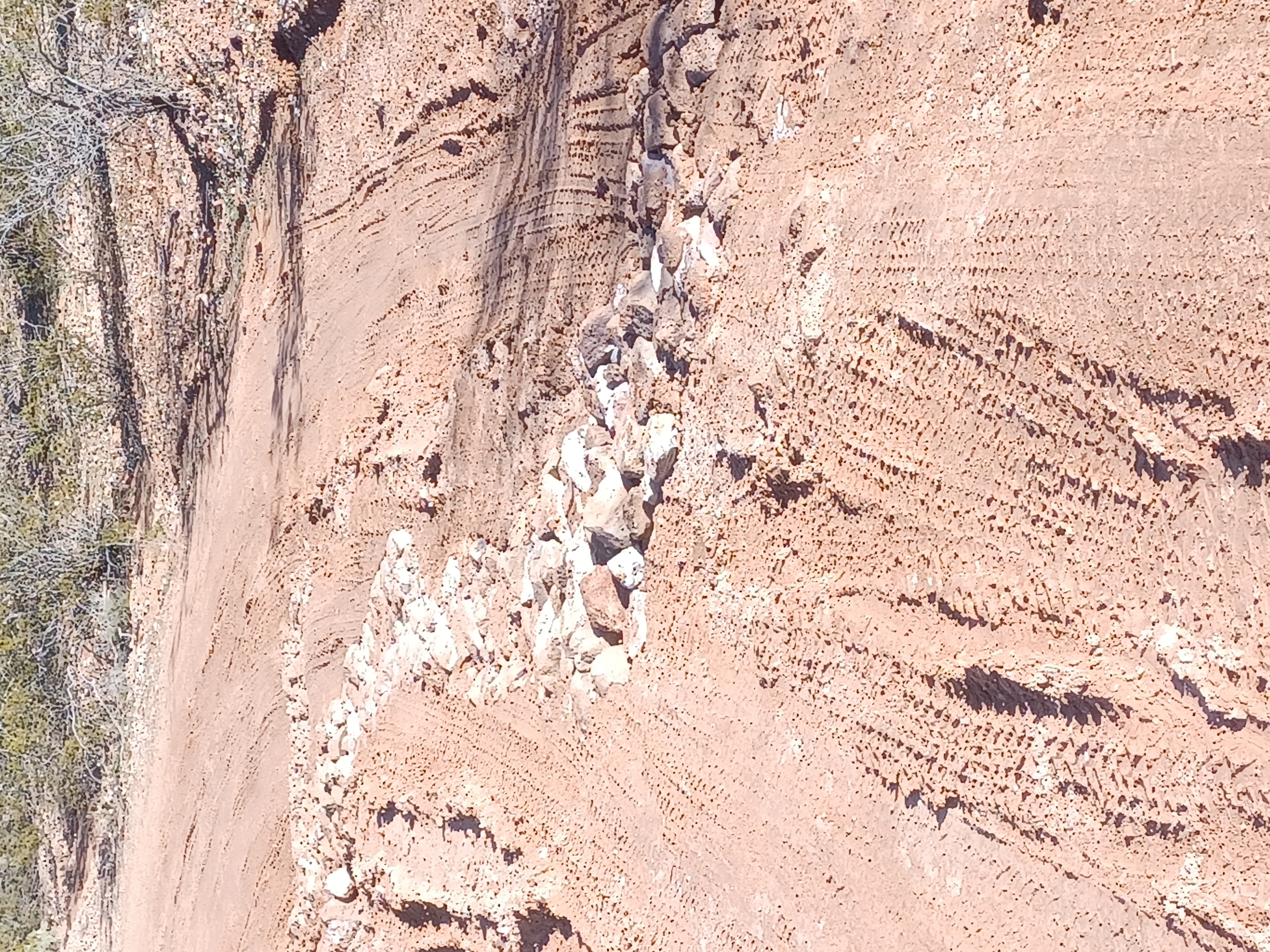 Member content 14 of 29