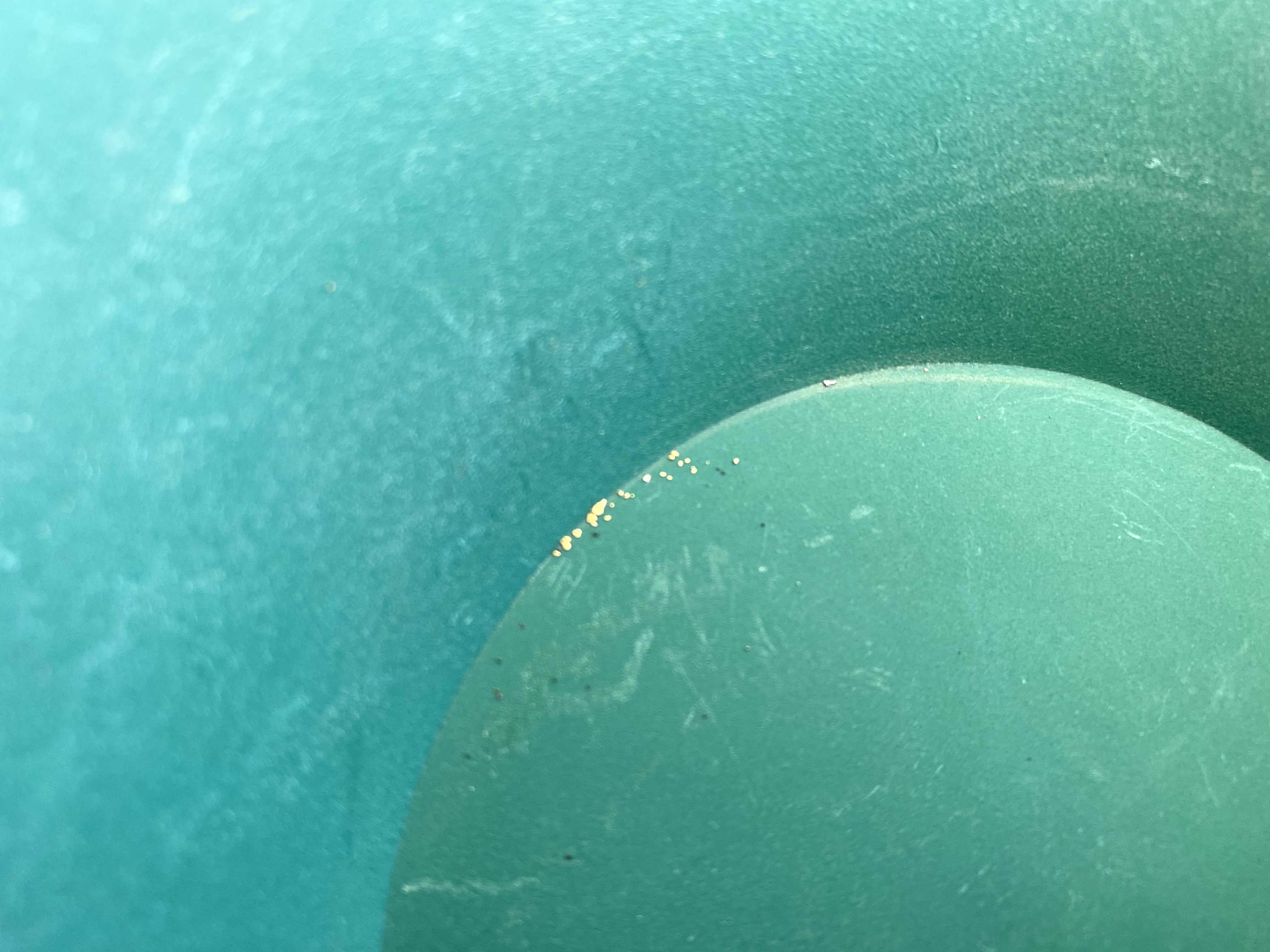 Member content 5 of 21