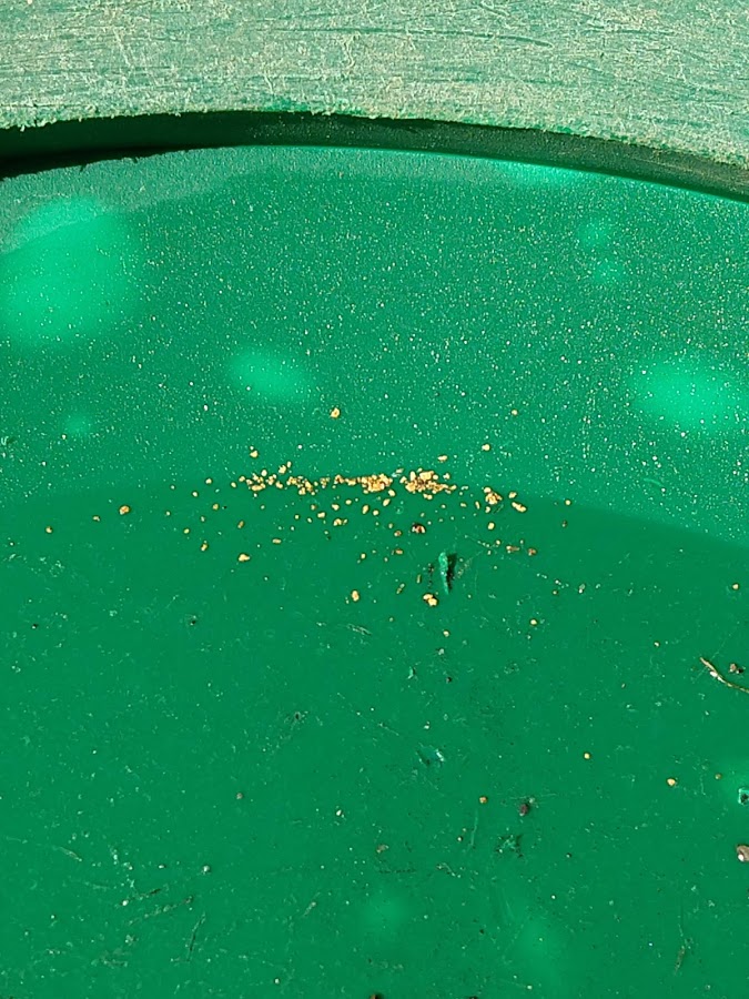 Member content 7 of 38