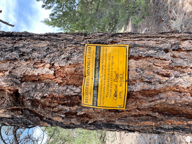 Member content 4 of 22