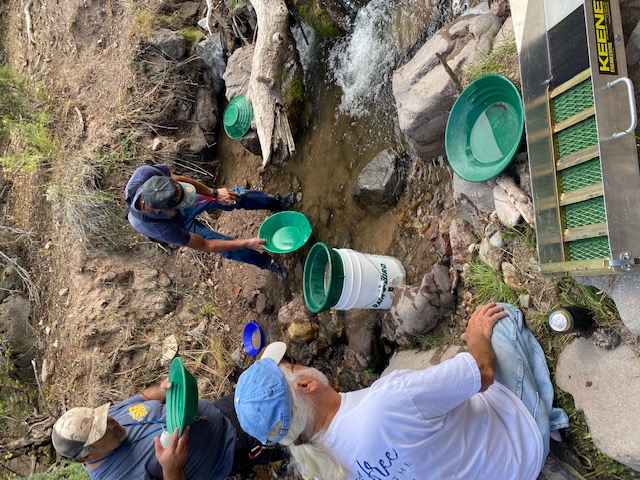 Member content 7 of 22