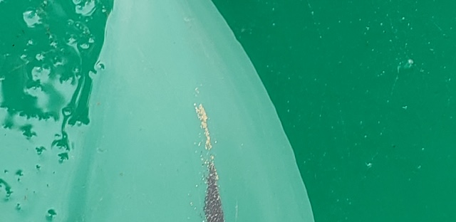 Member content 10 of 22