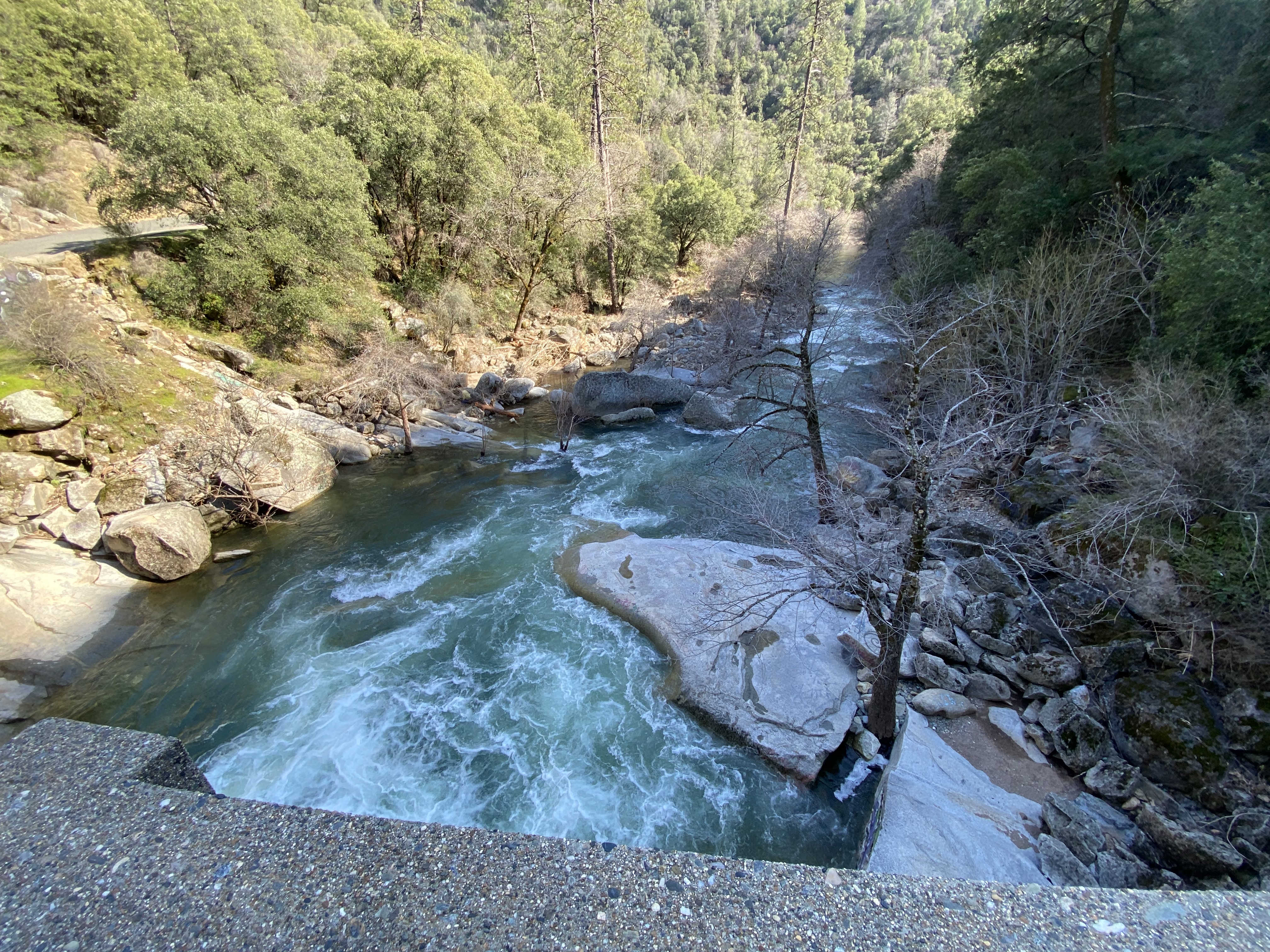 Member content 10 of 25