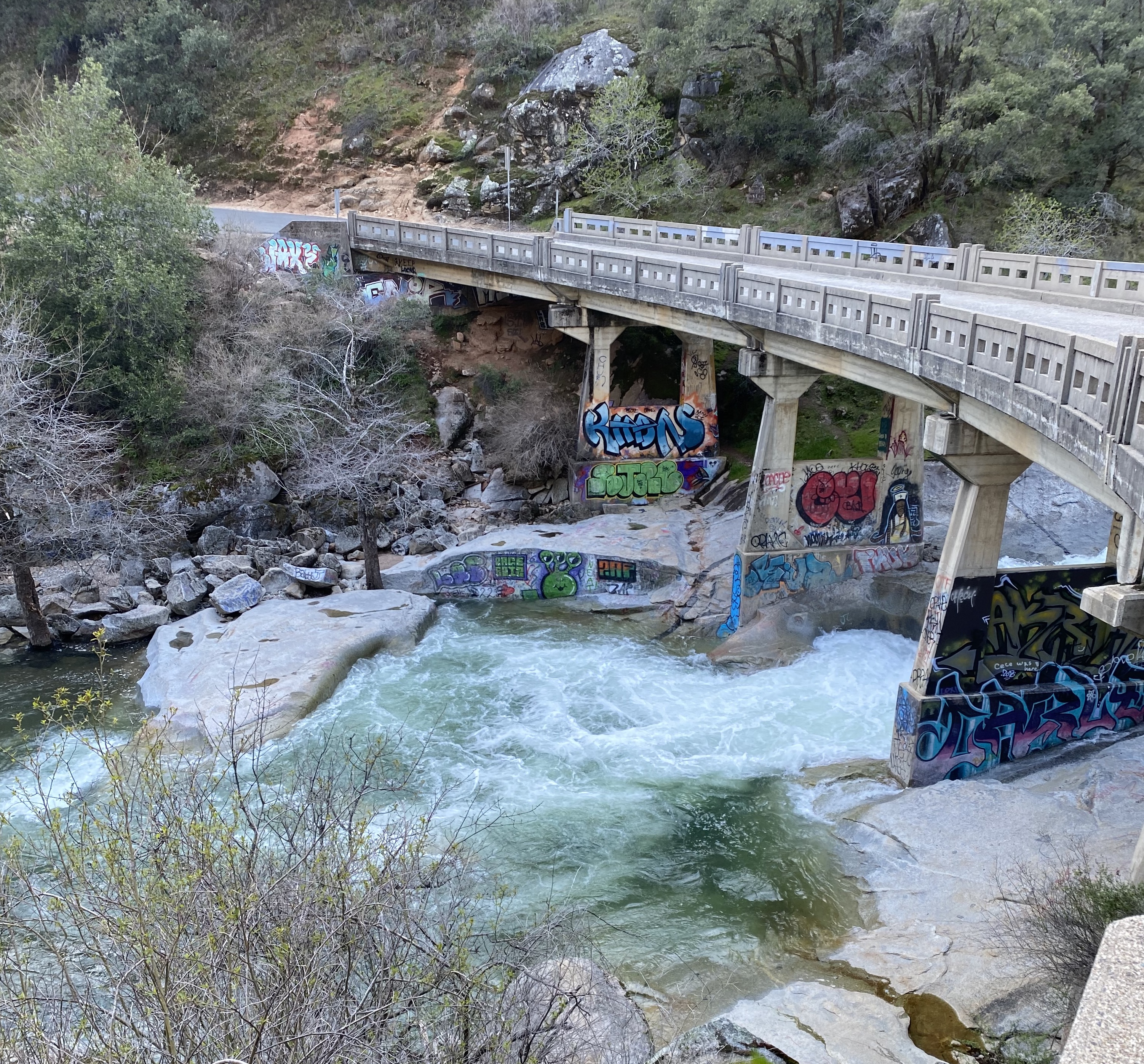 Member content 11 of 25