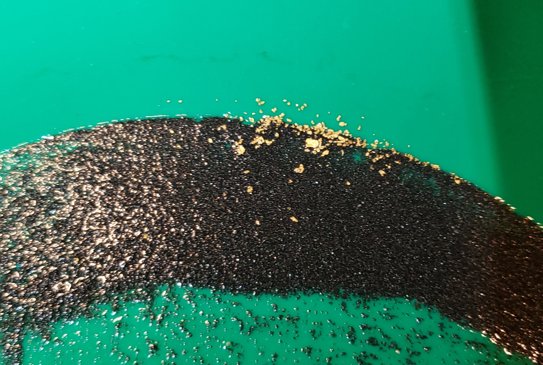 Member content 39 of 206