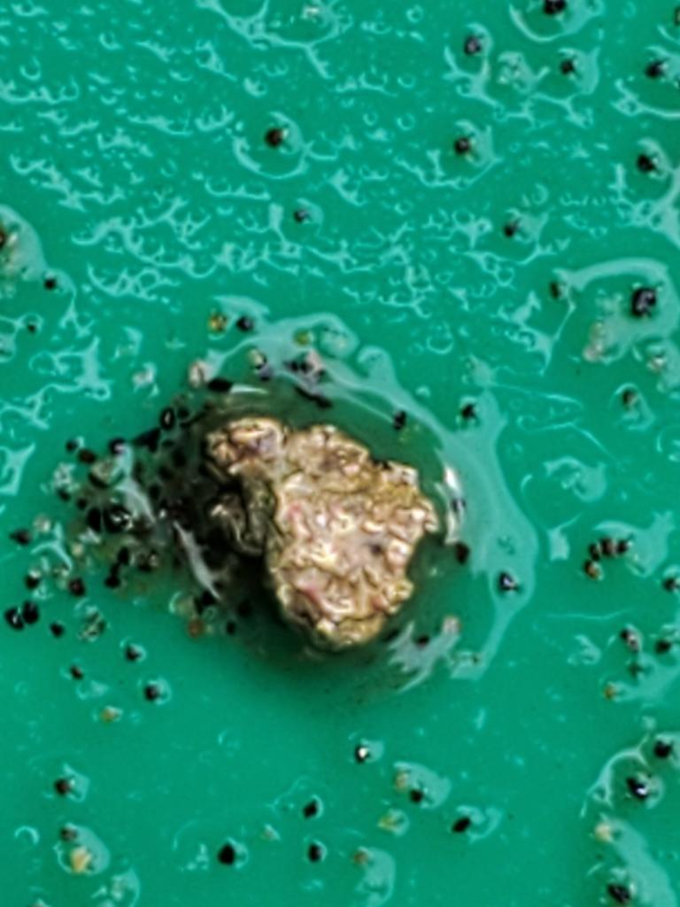 Member content 43 of 206