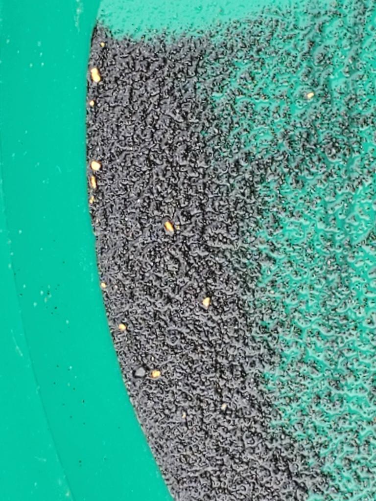 Member content 44 of 206