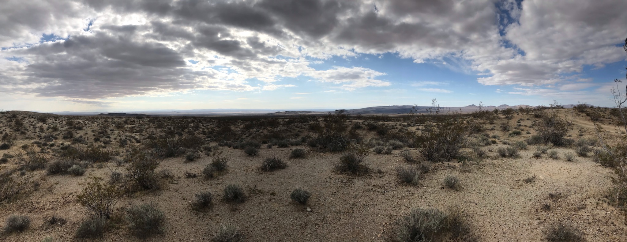 Member content 46 of 206