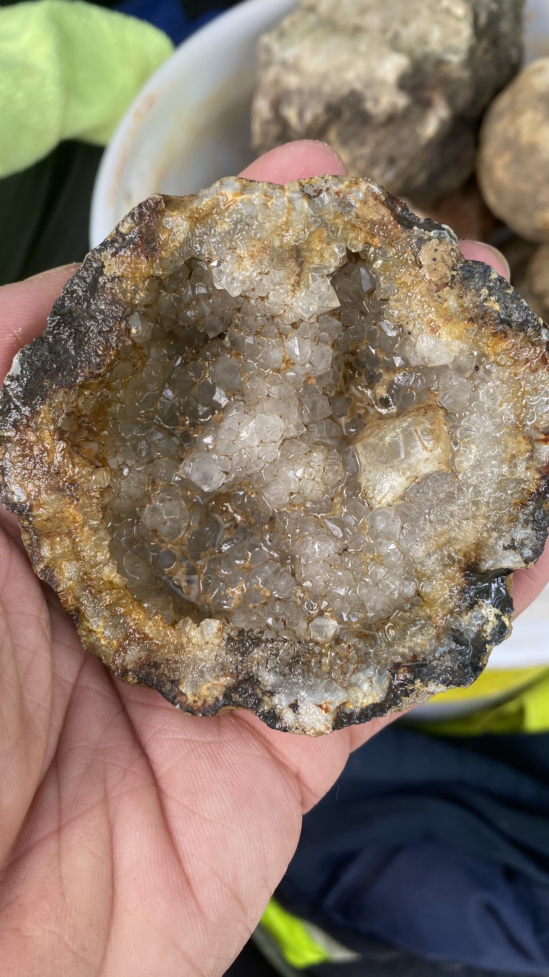 Member content 1 of 3