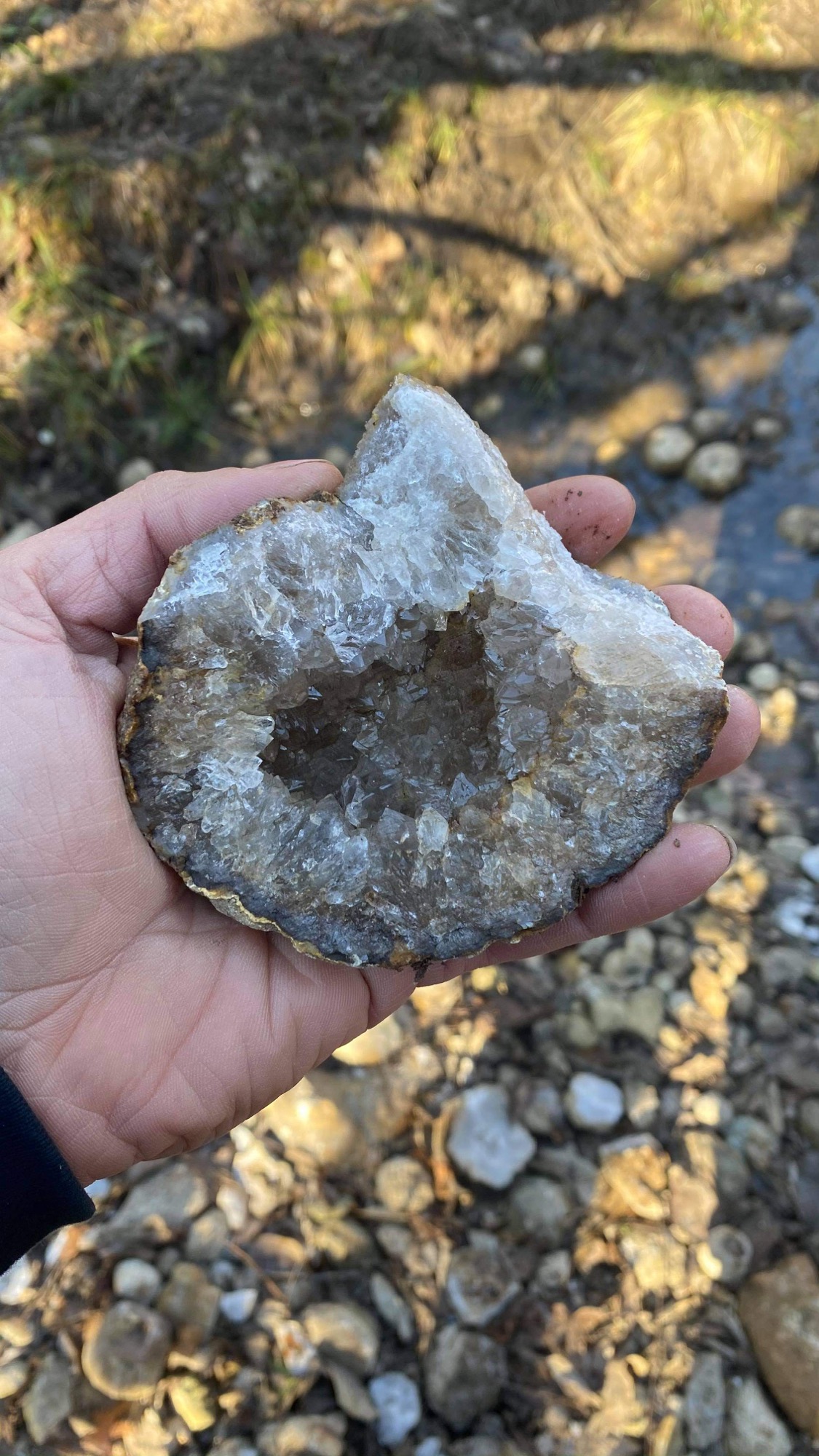 Member content 2 of 3