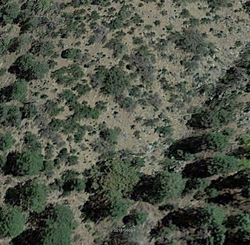 Member content 1 of 1