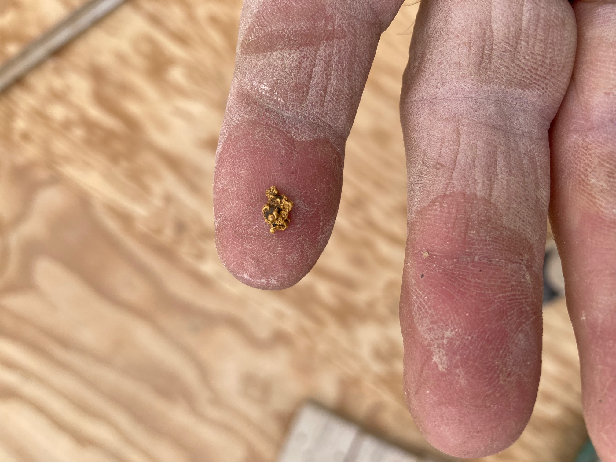 Member content 203 of 206