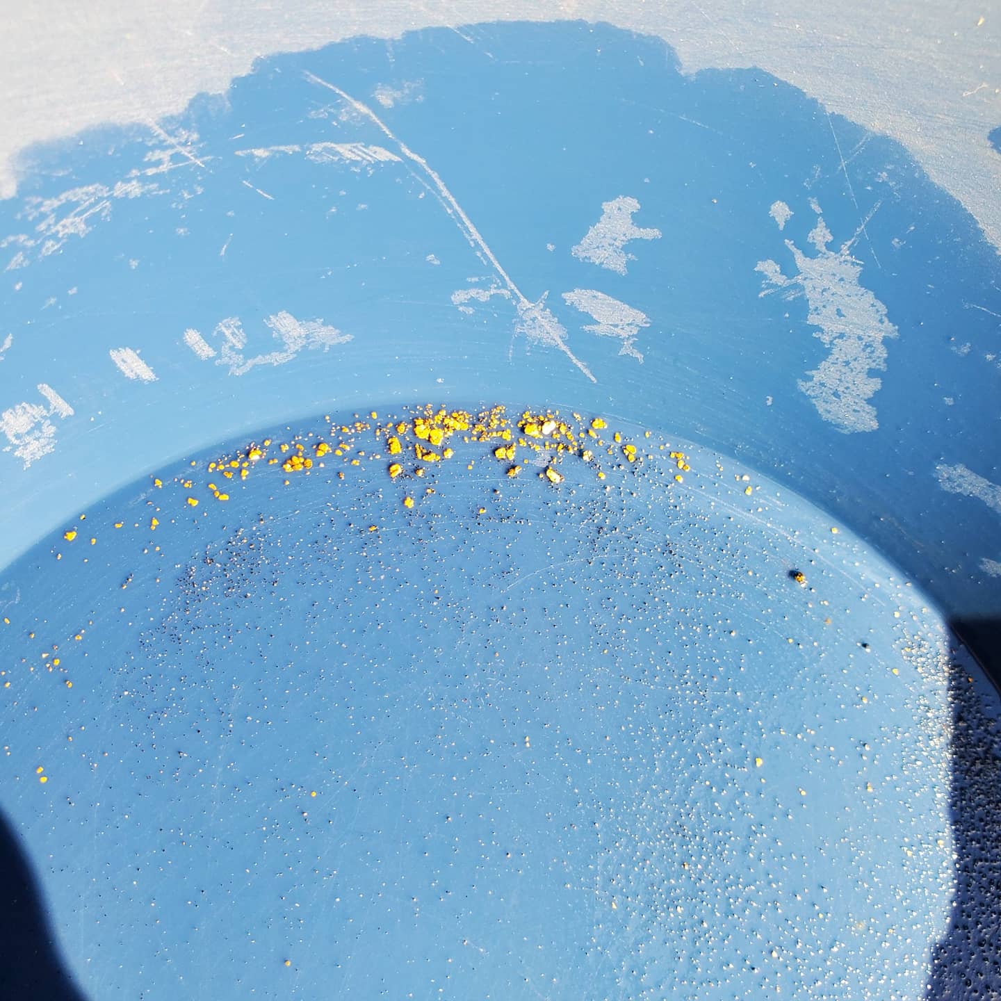 Member content 16 of 38