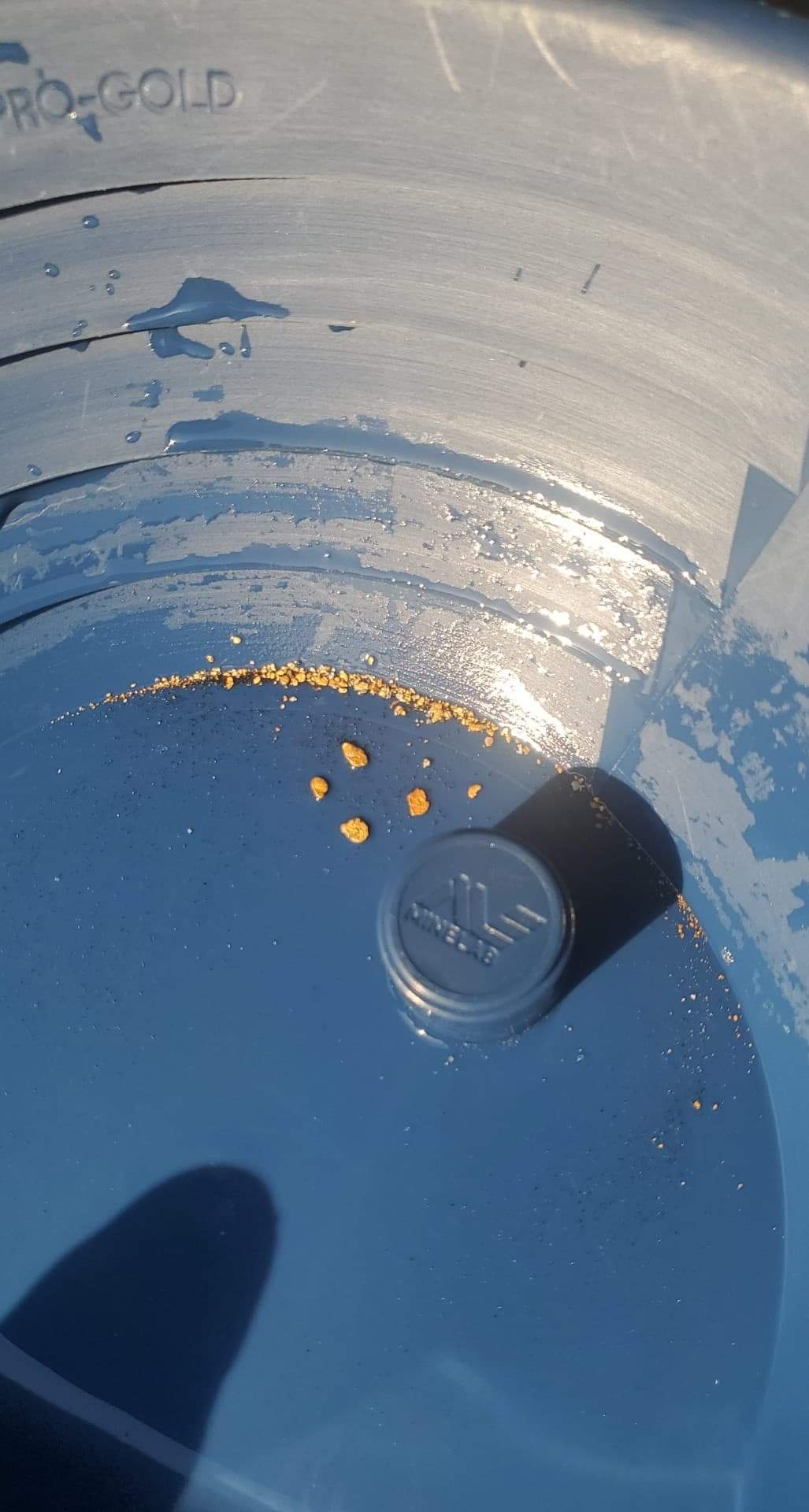 Member content 17 of 38