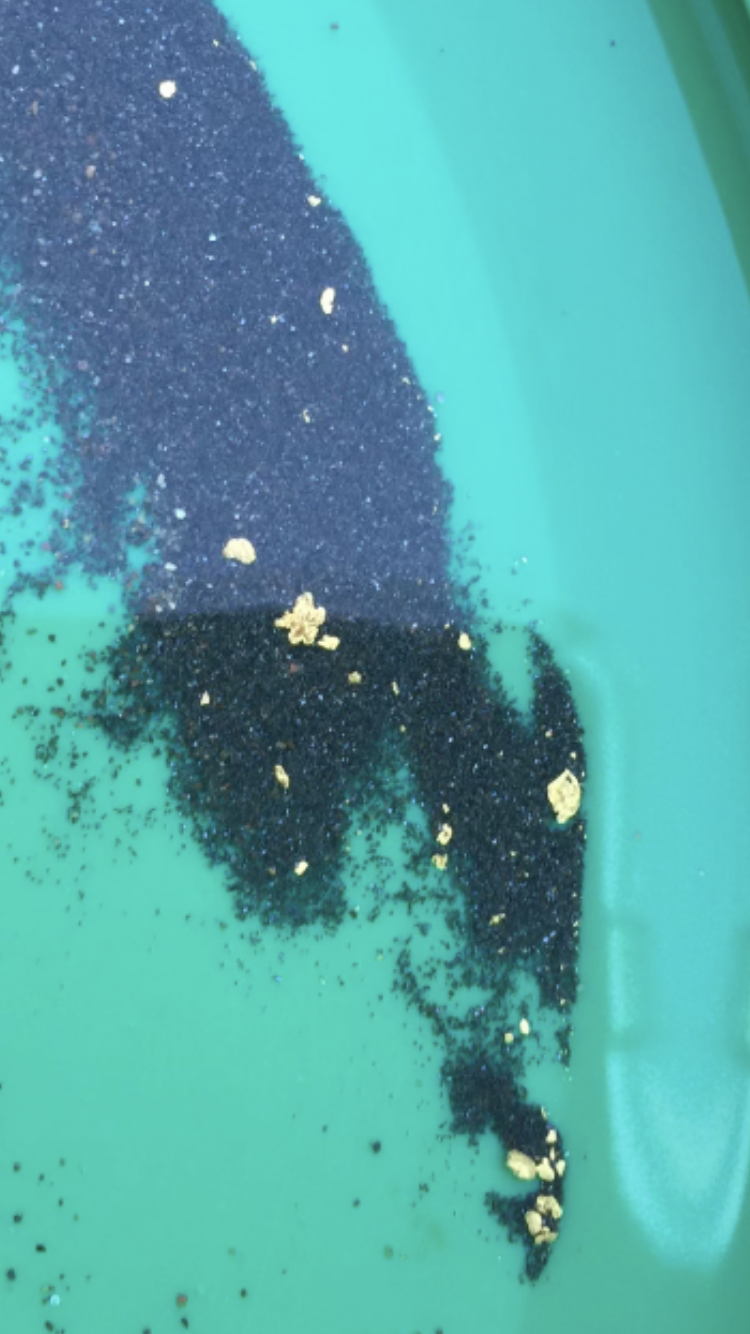 Member content 3 of 12