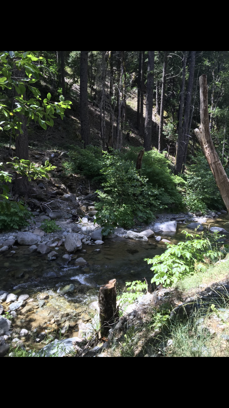 Member content 4 of 12