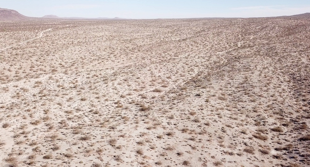 Member content 92 of 206