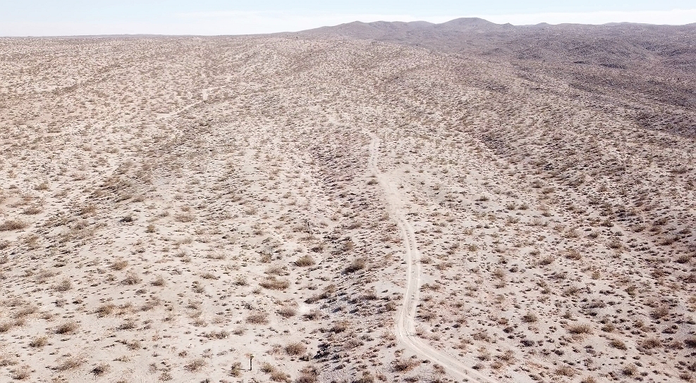 Member content 93 of 206