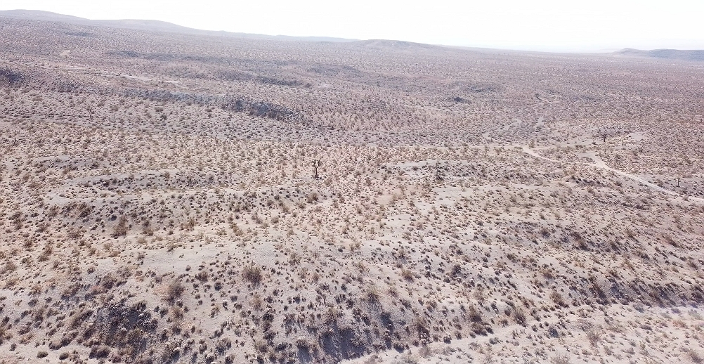 Member content 94 of 206