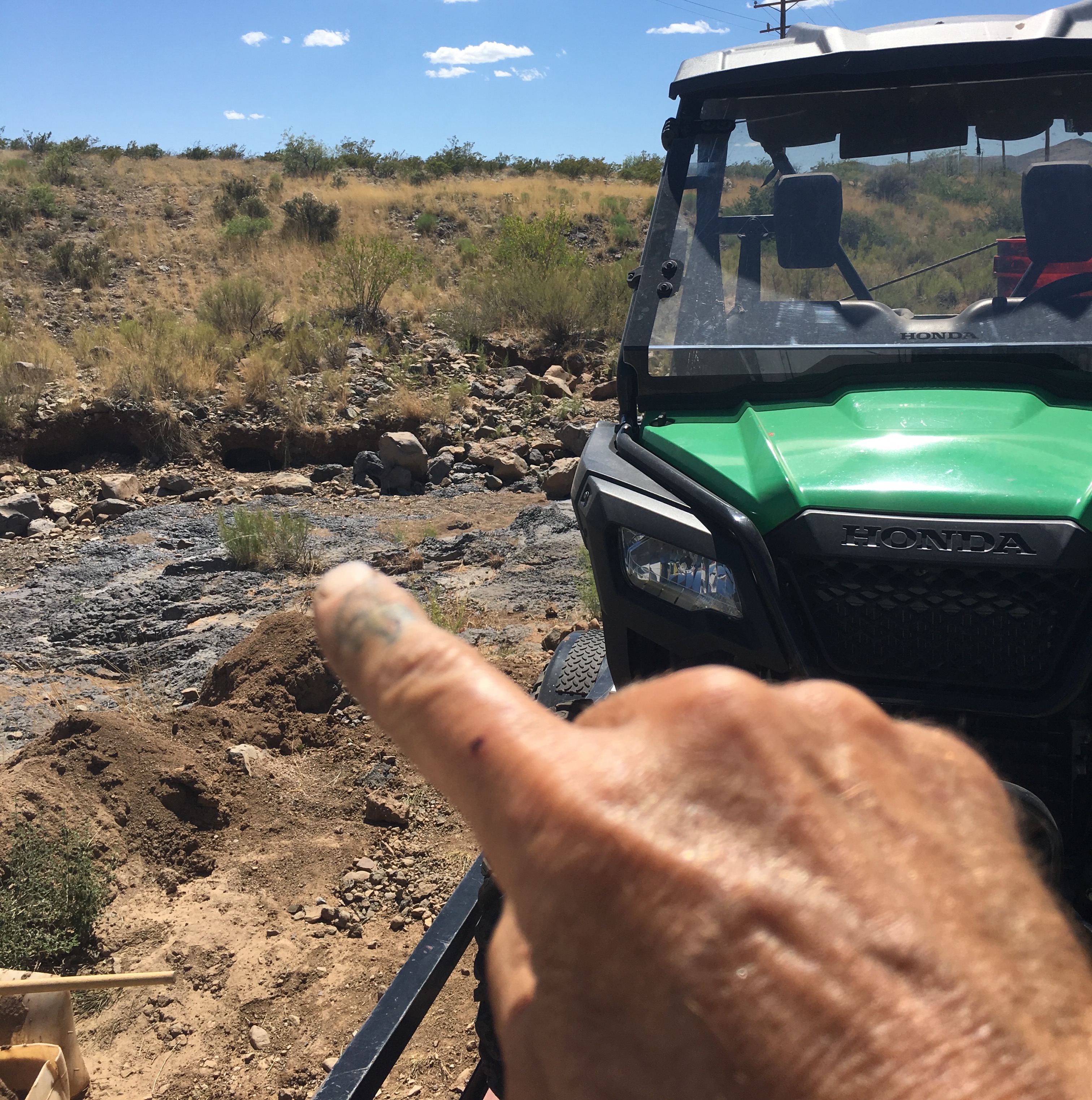 Member content 1 of 21