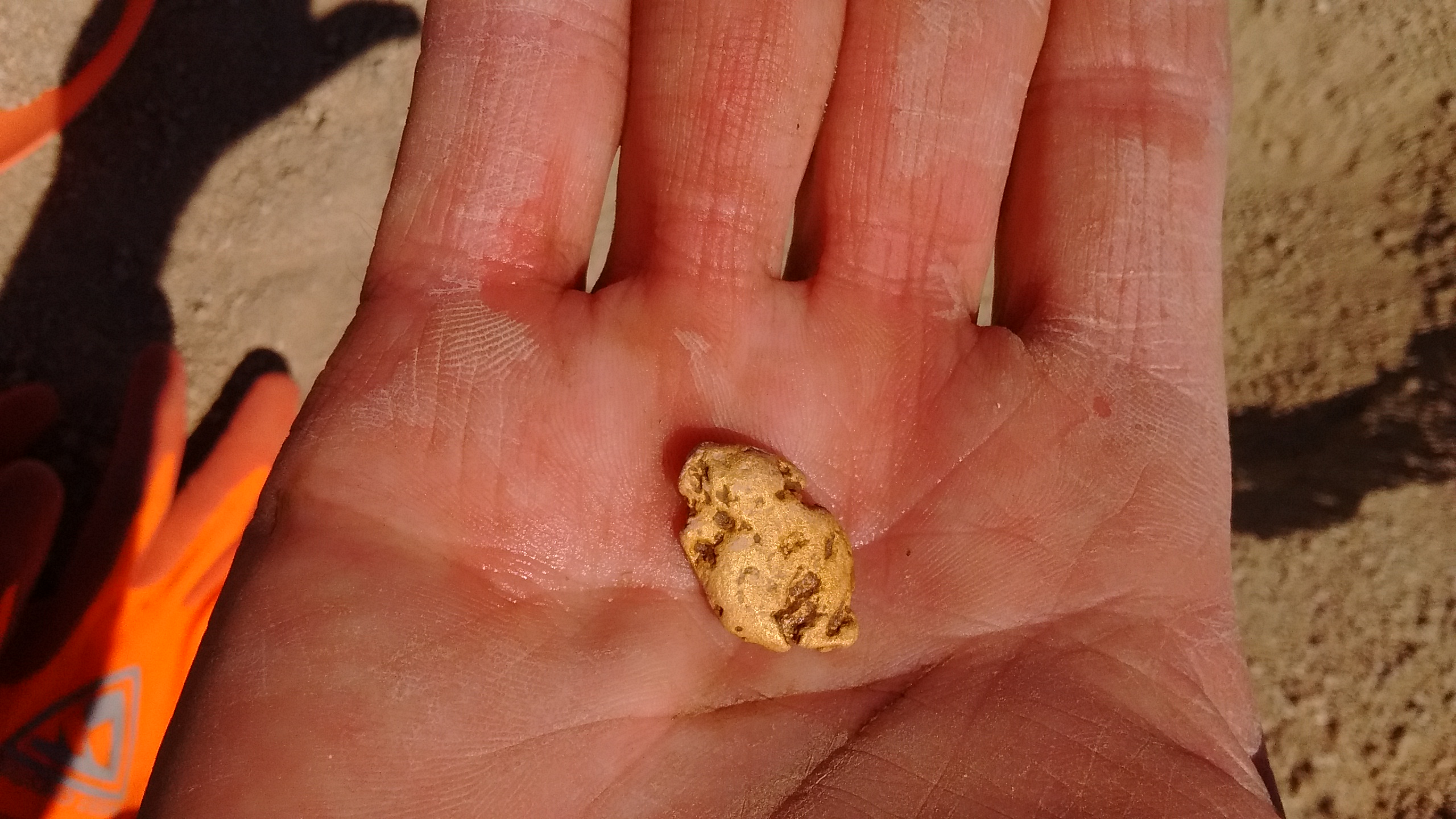 Member content 81 of 206