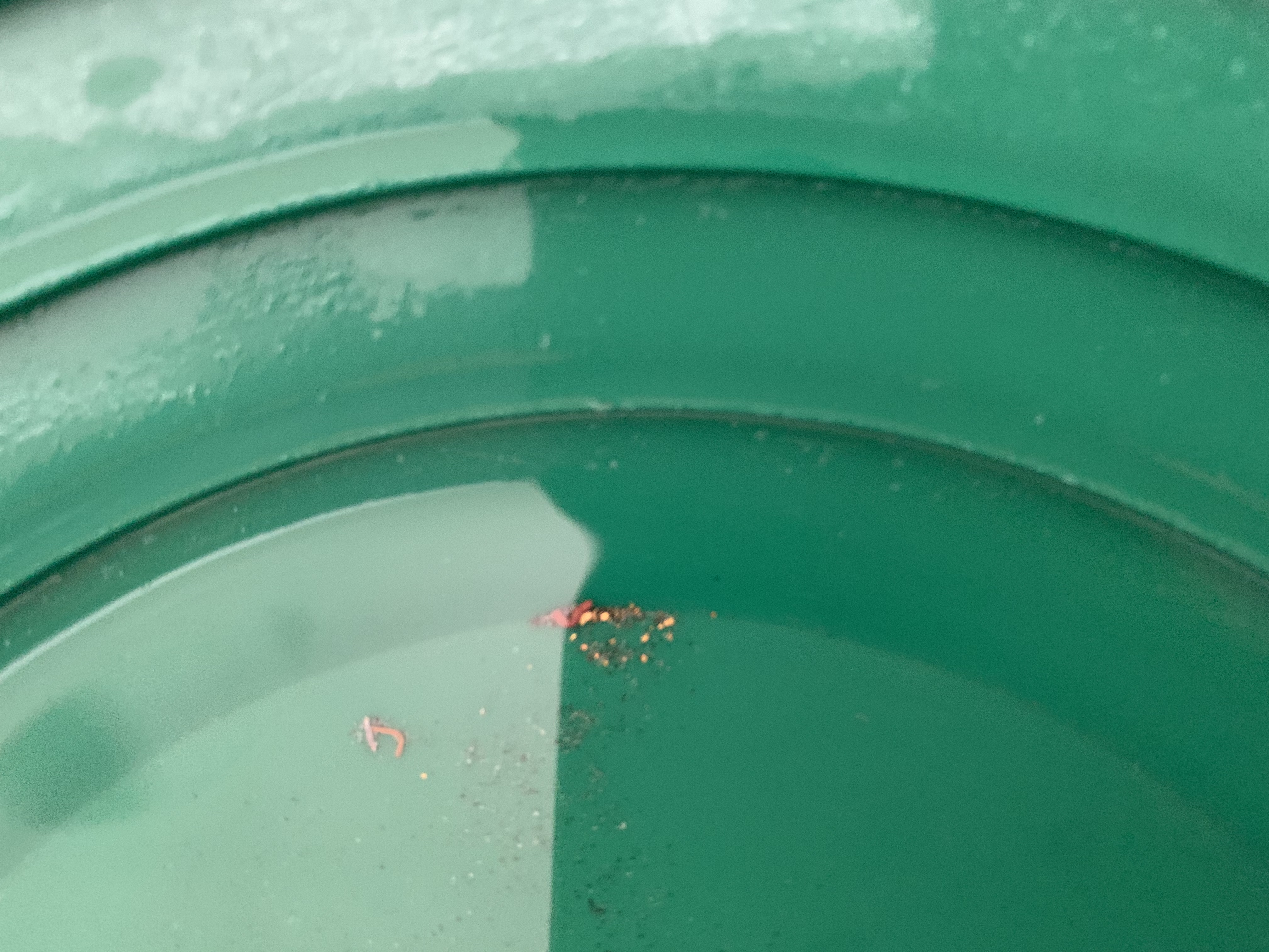 Member content 6 of 6