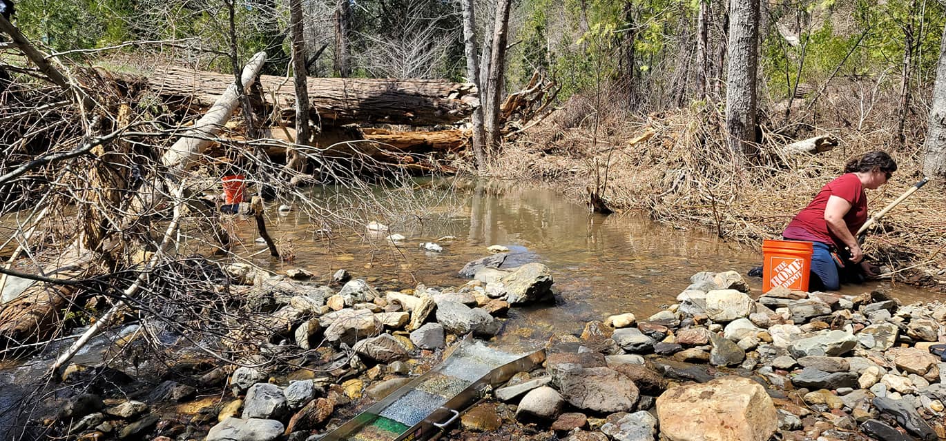 Member content 10 of 15