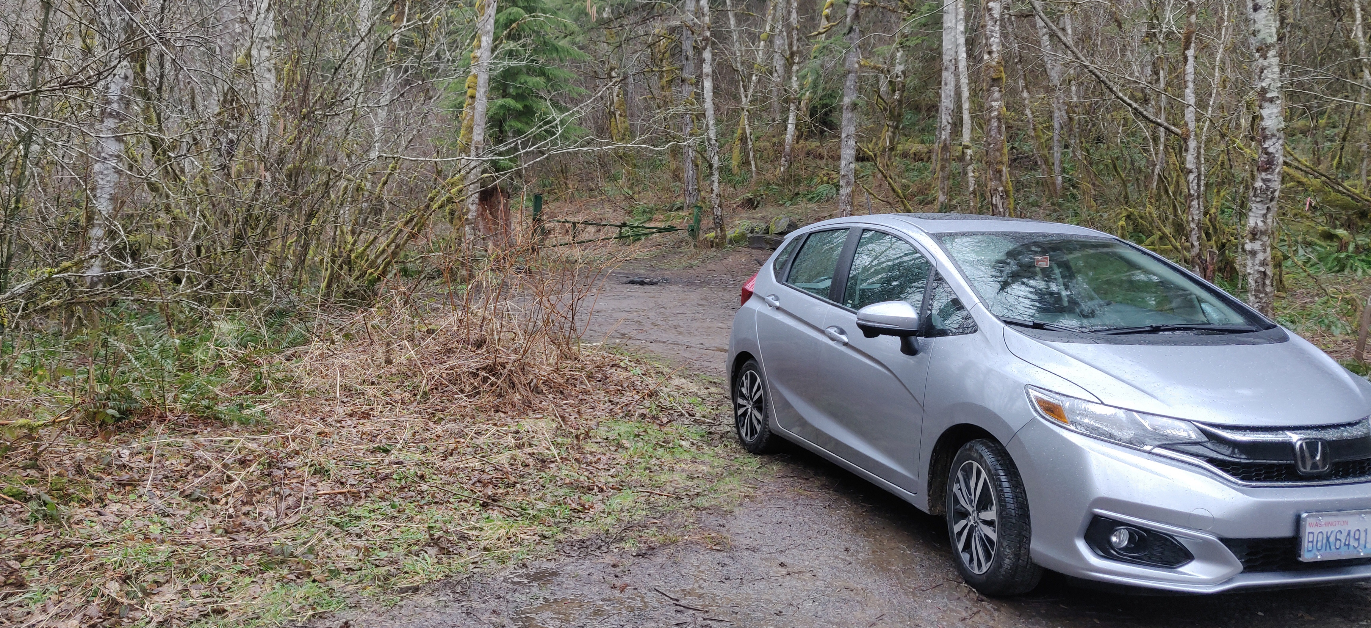 Member content 1 of 5