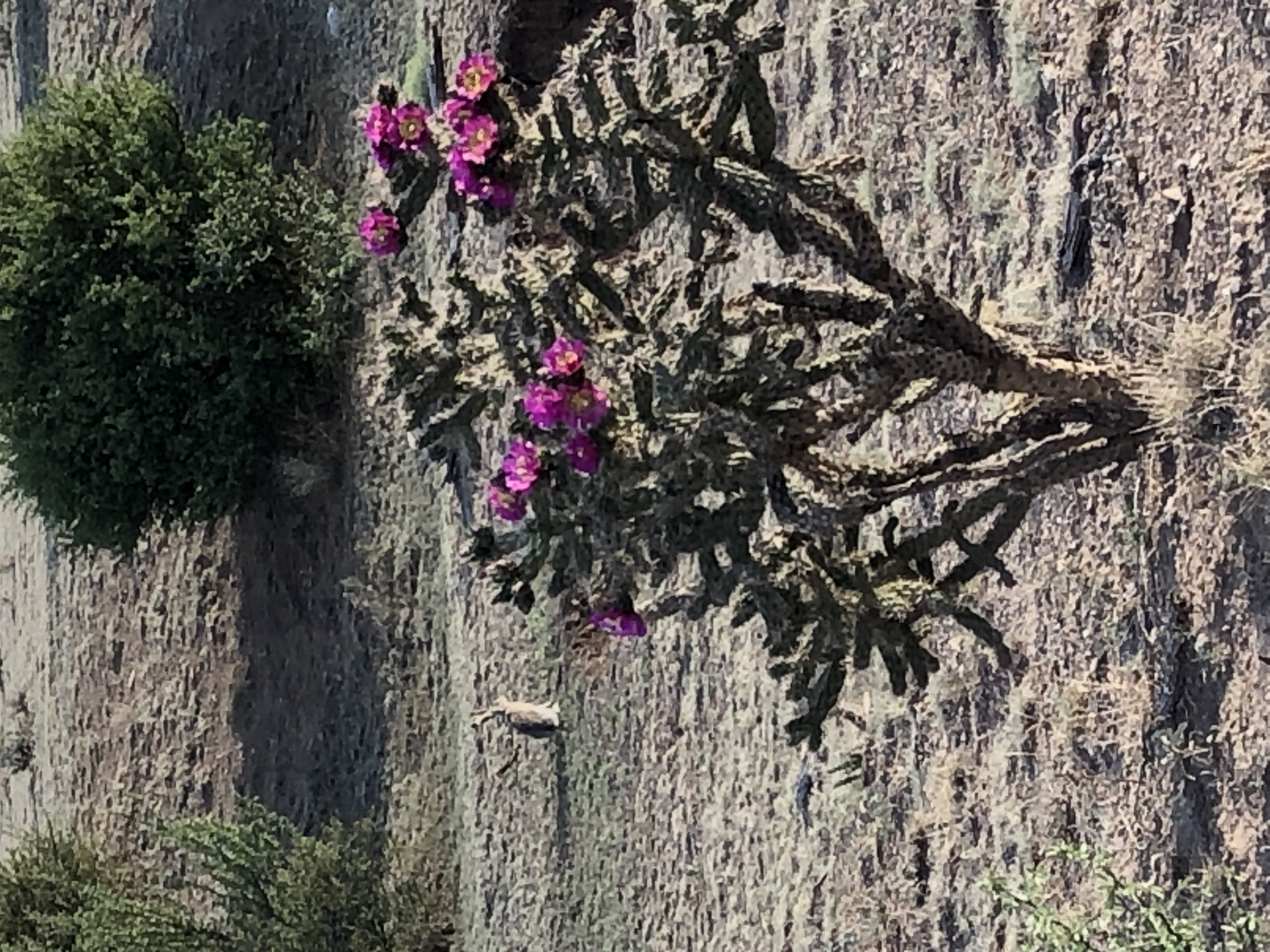 Member content 2 of 2