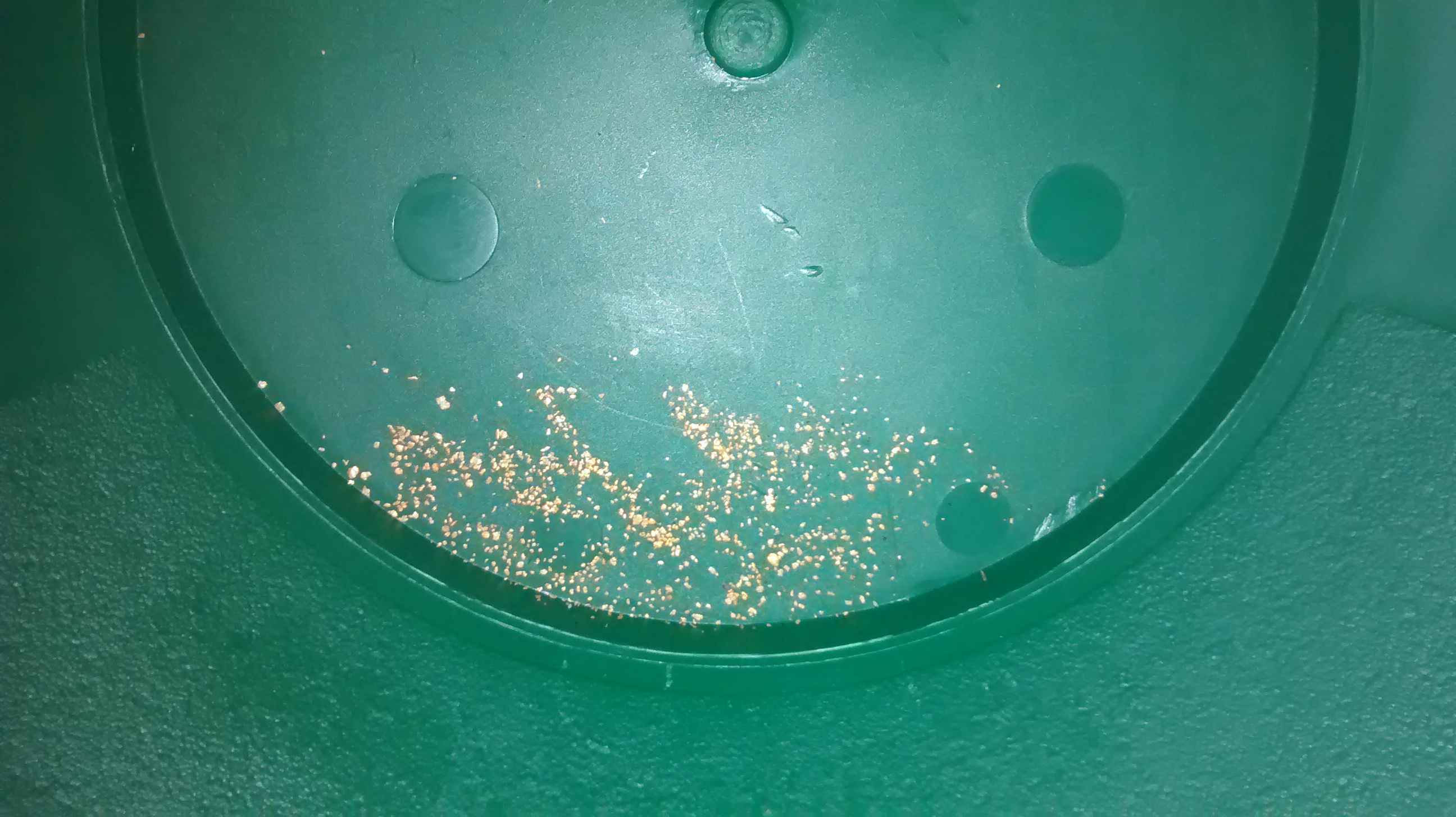 Member content 1 of 11