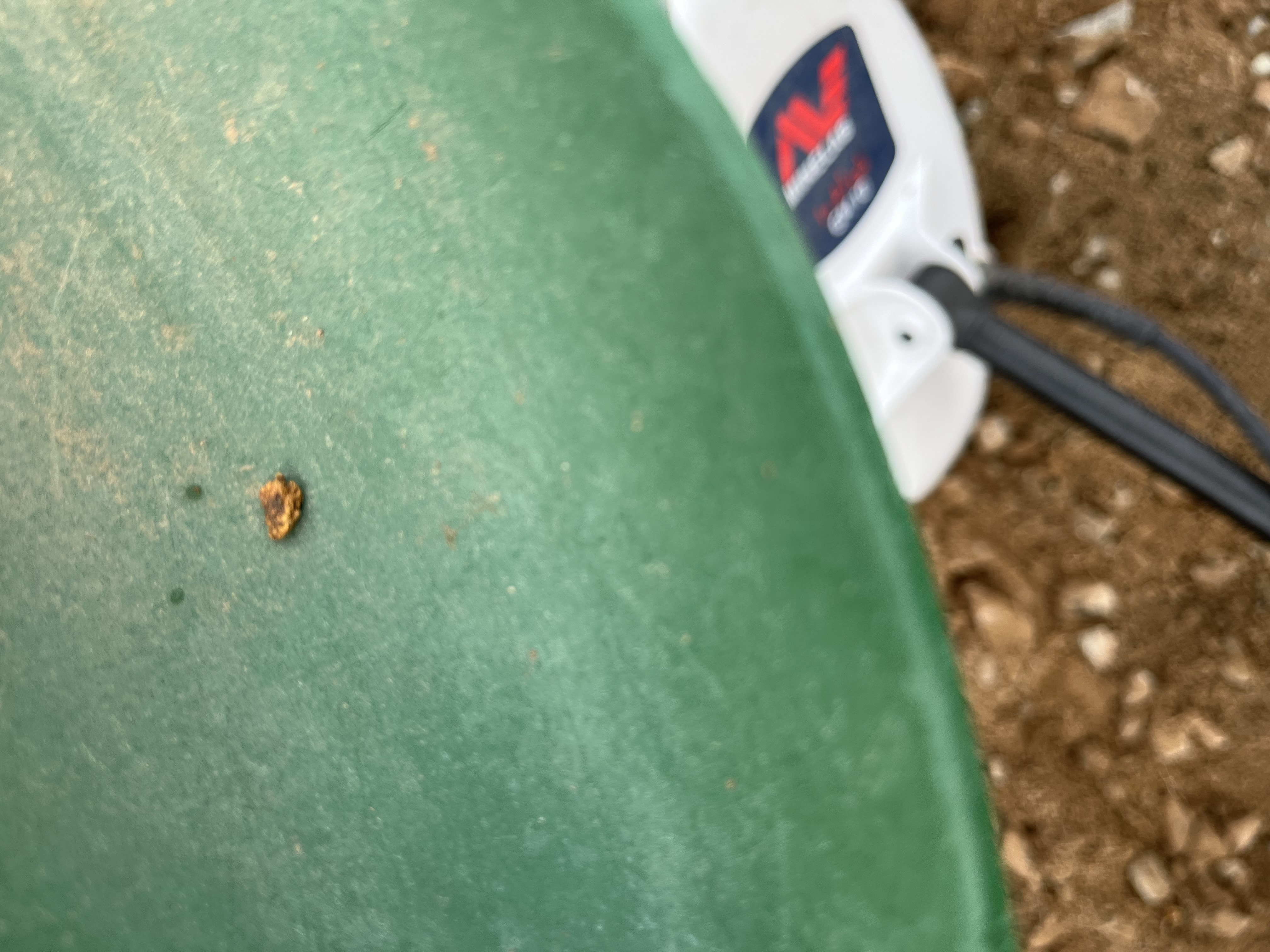 Member content 1 of 1