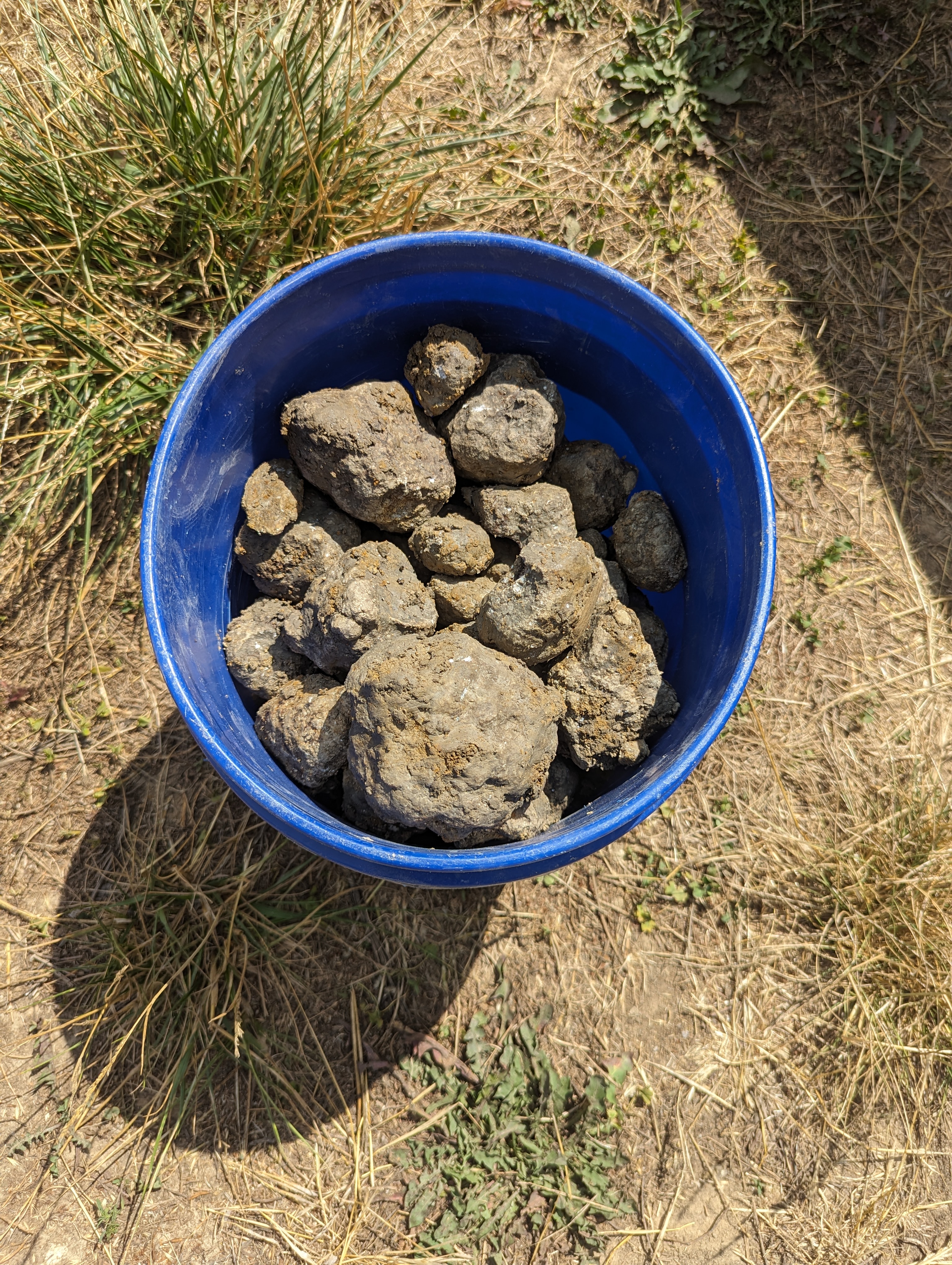 Member content 1 of 1