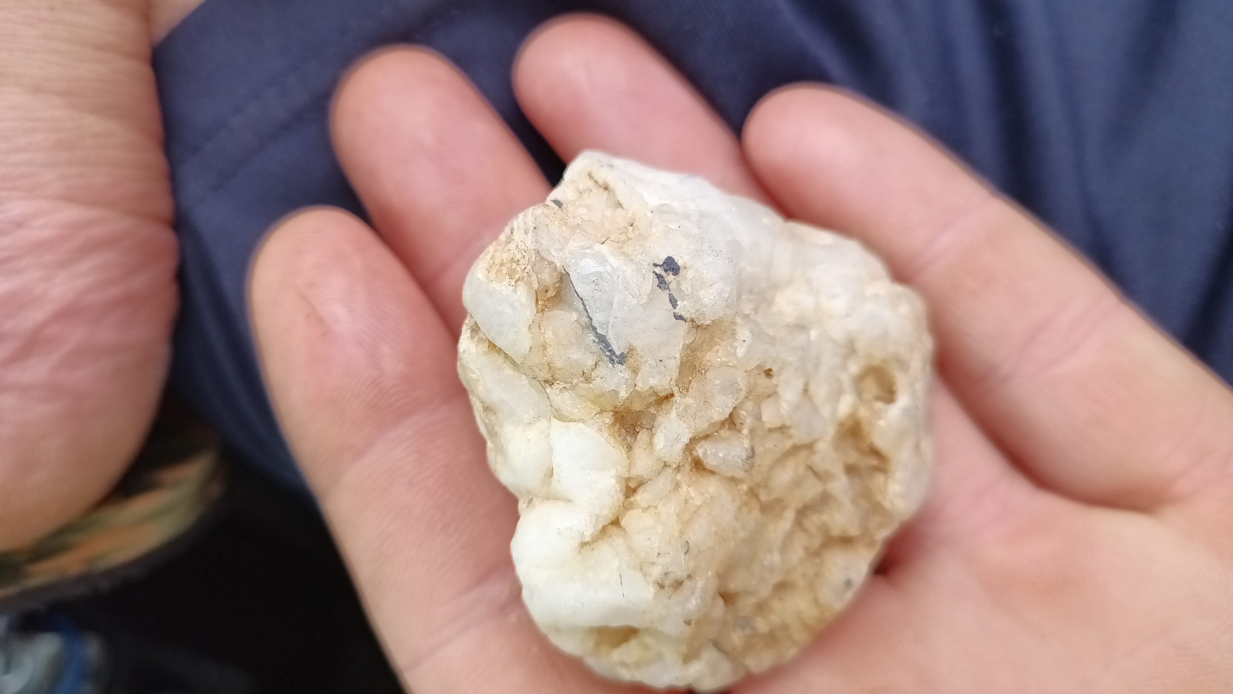 Member content 9 of 21