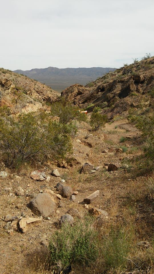 Member content 1 of 5