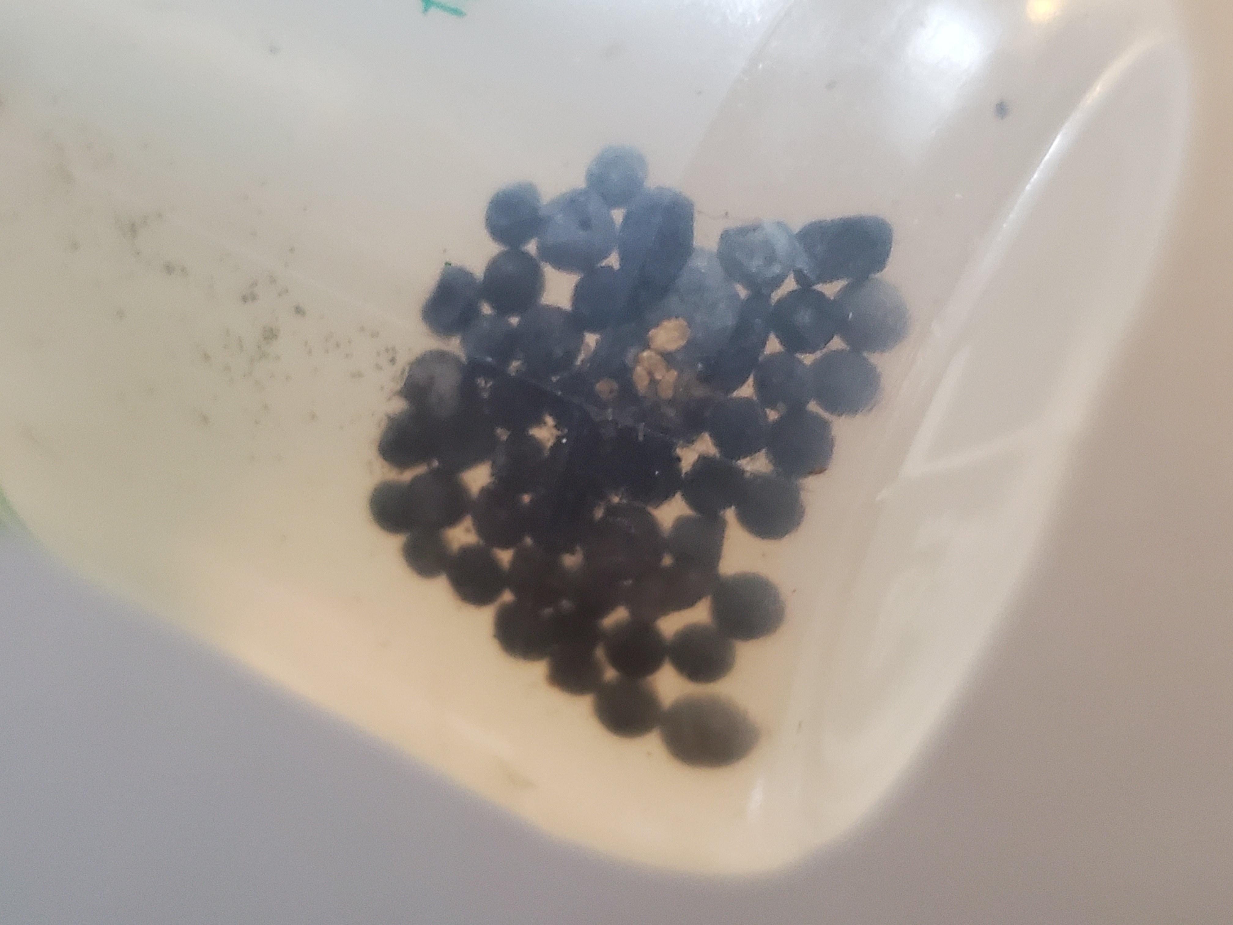 Member content 2 of 9