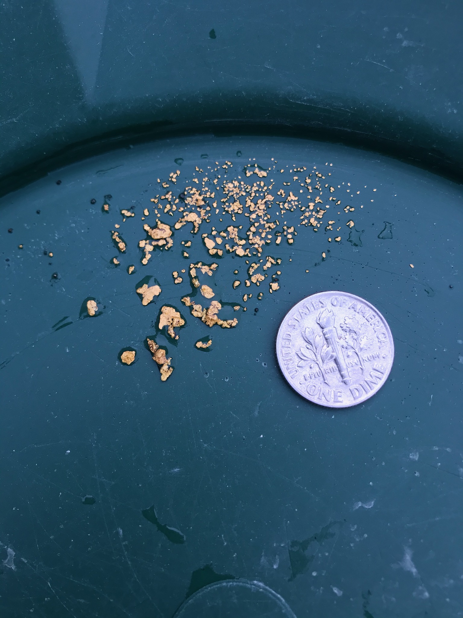 Member content 111 of 206