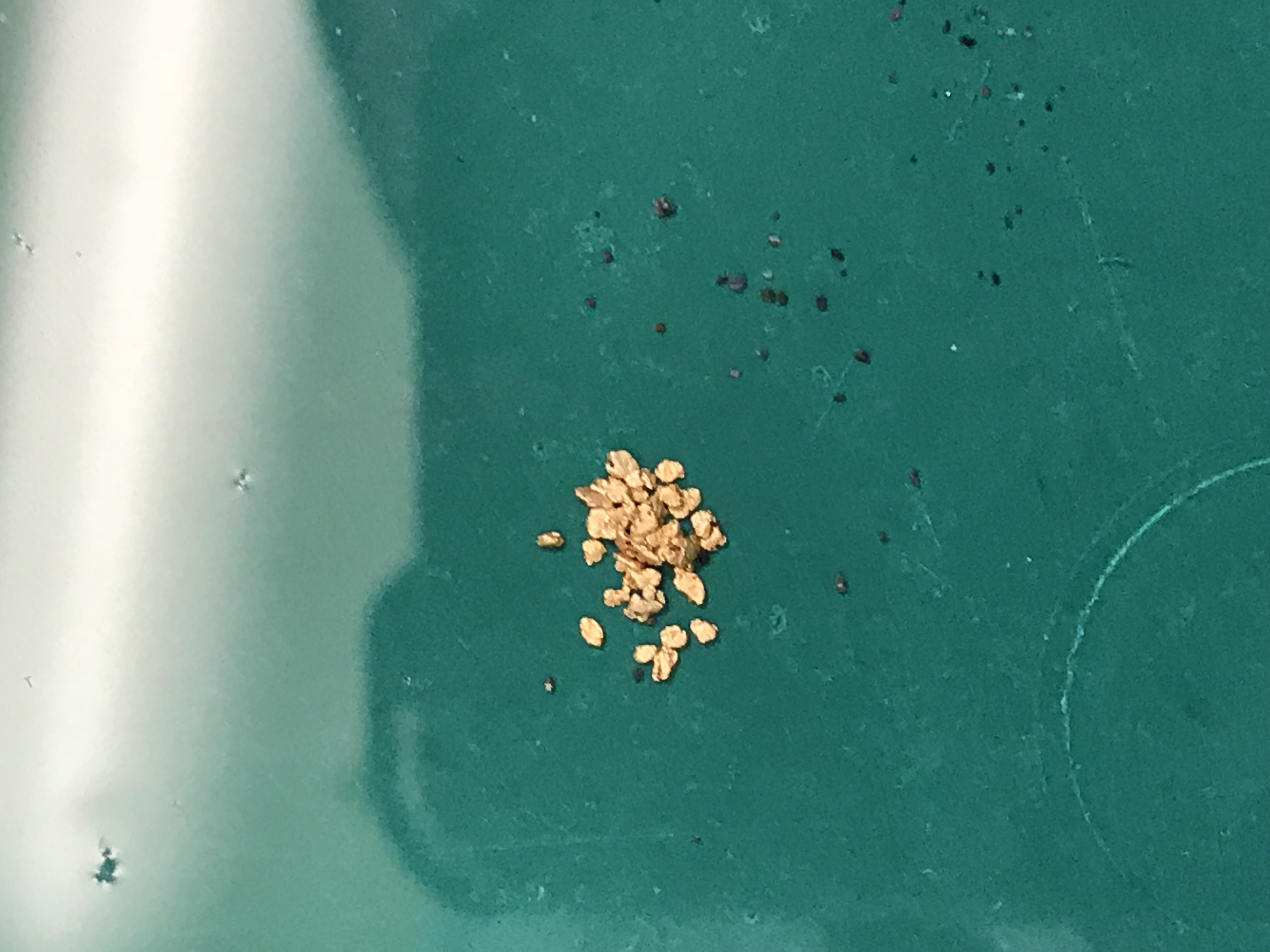 Member content 1 of 9