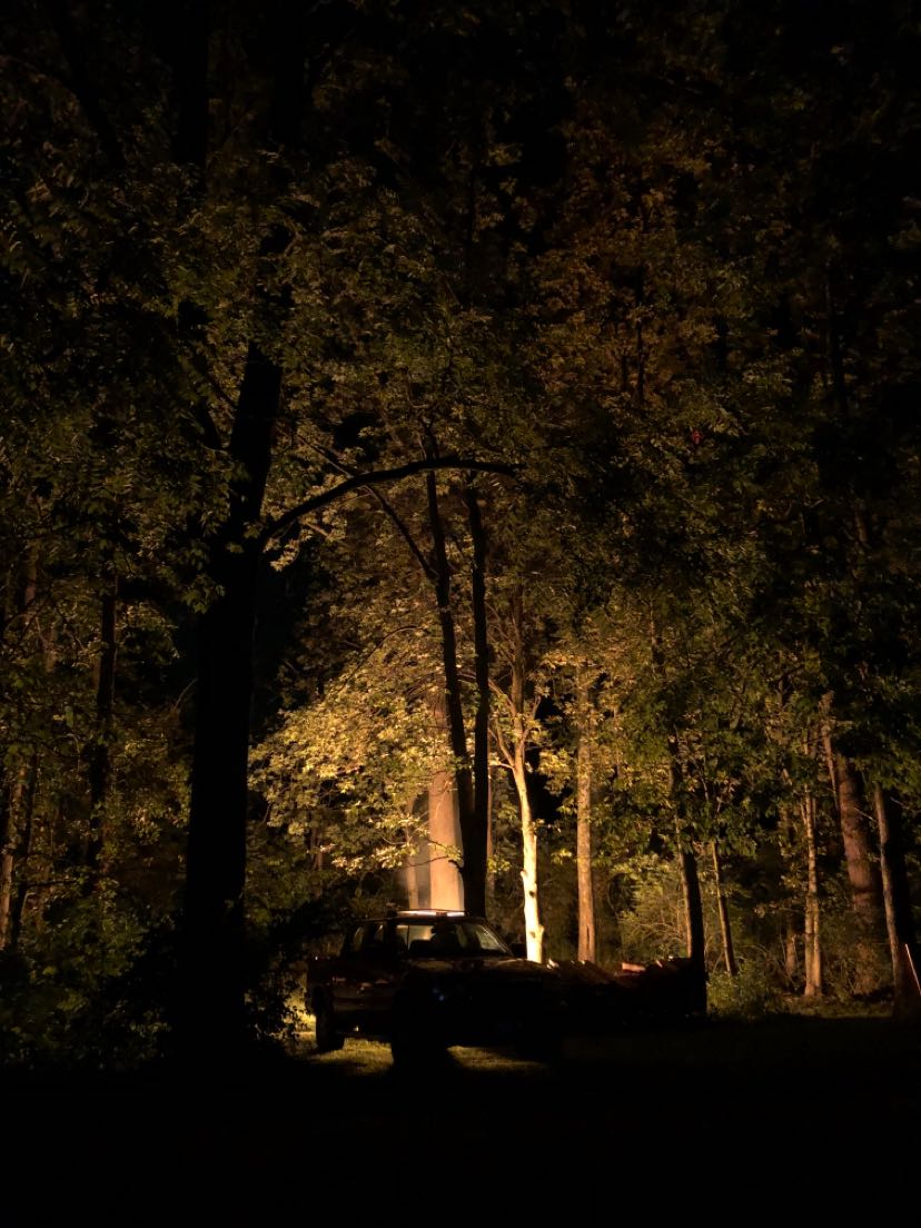 Member content 10 of 21